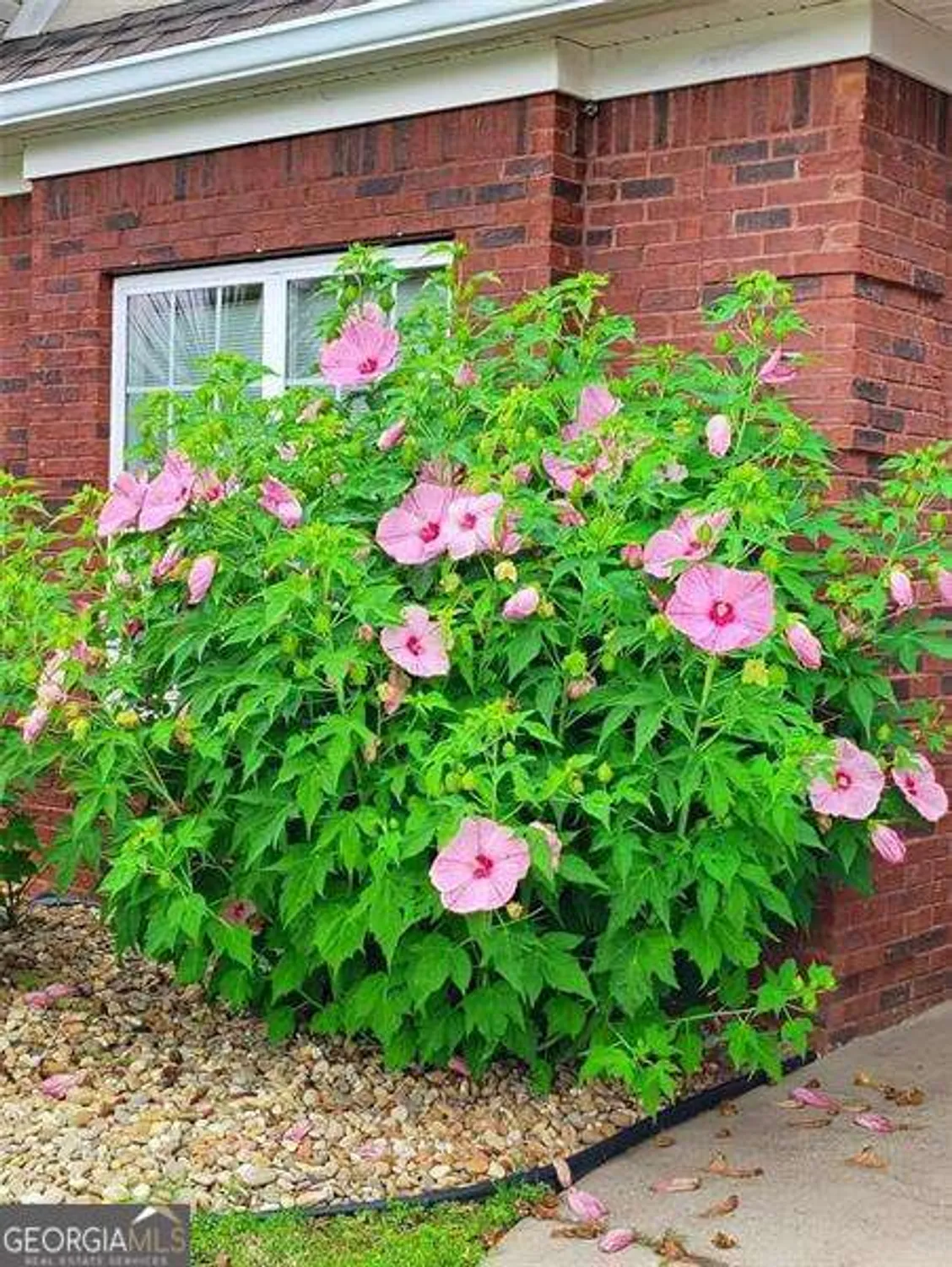 Property Slideshow image 22 of 45 | 8513 spivey village trl, Jonesboro, GA, 30236