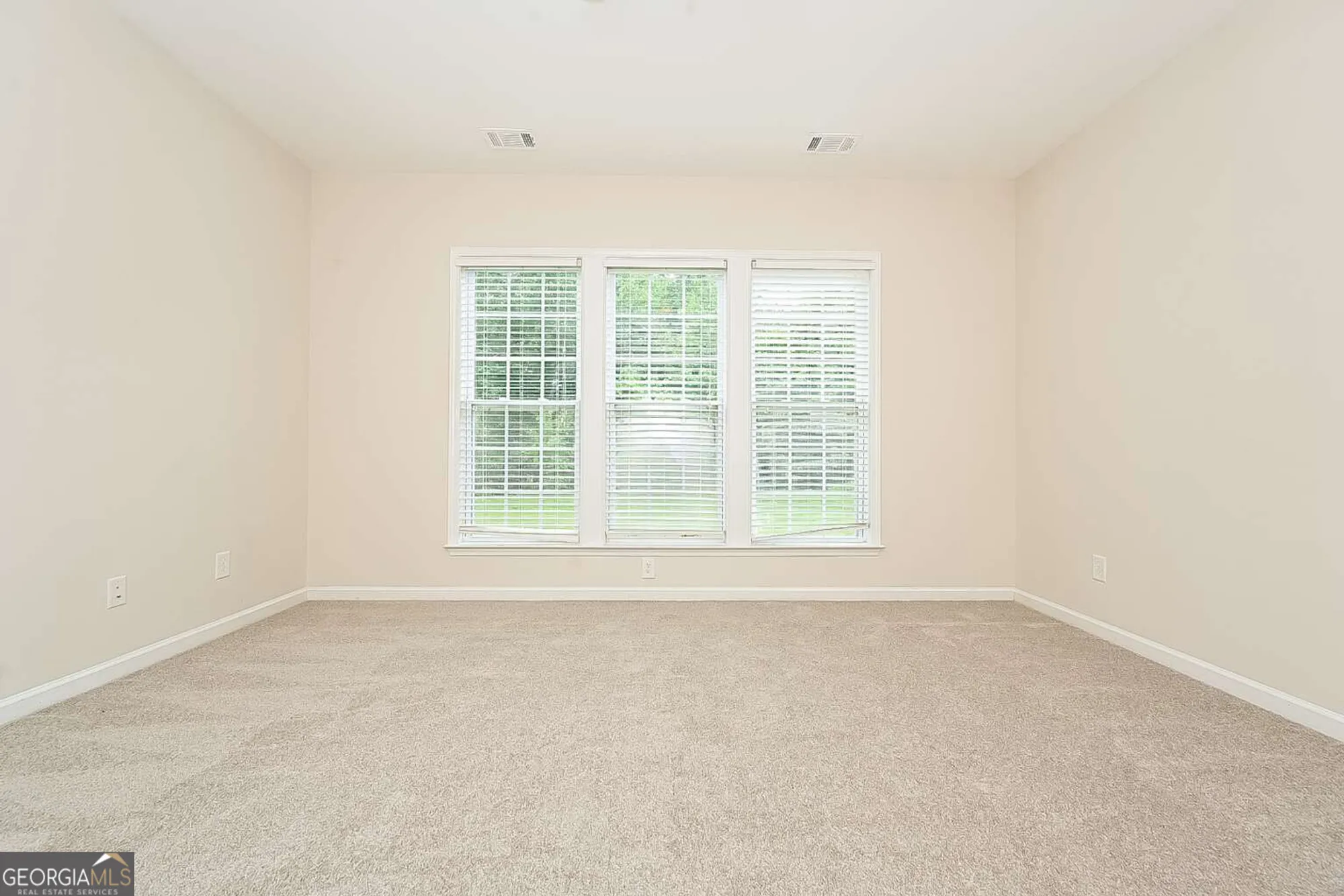 Property Slideshow image 8 of 16 | 116 magic lily dr, Griffin, GA, 30223