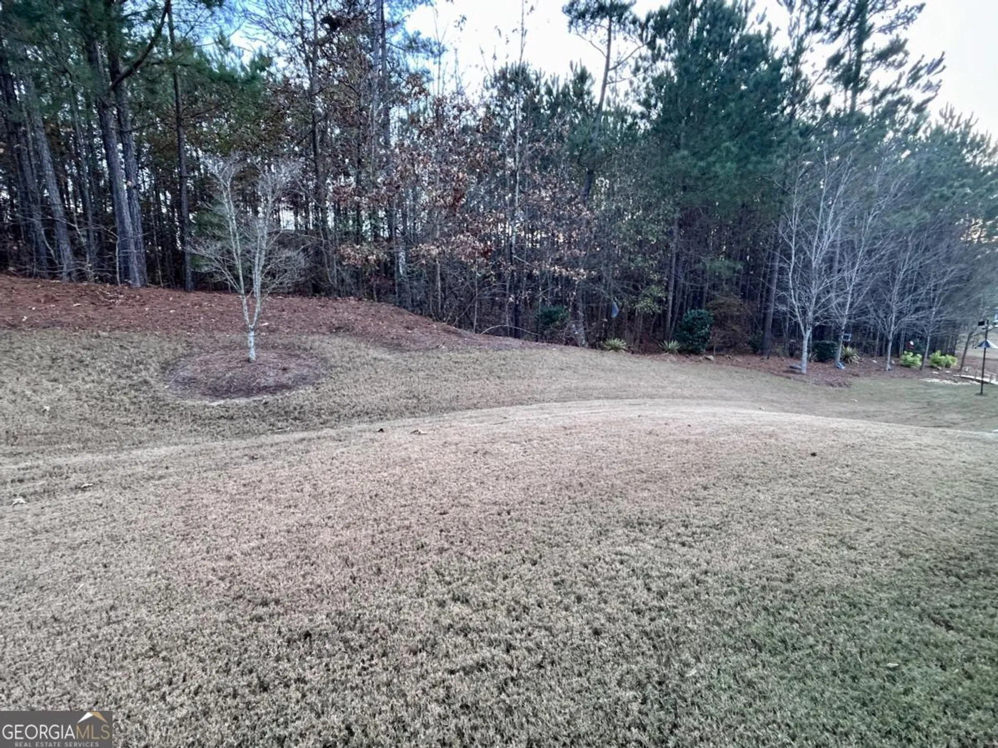 Property Slideshow image 30 of 31 | 311 honey locust ct, Peachtree City, GA, 30269