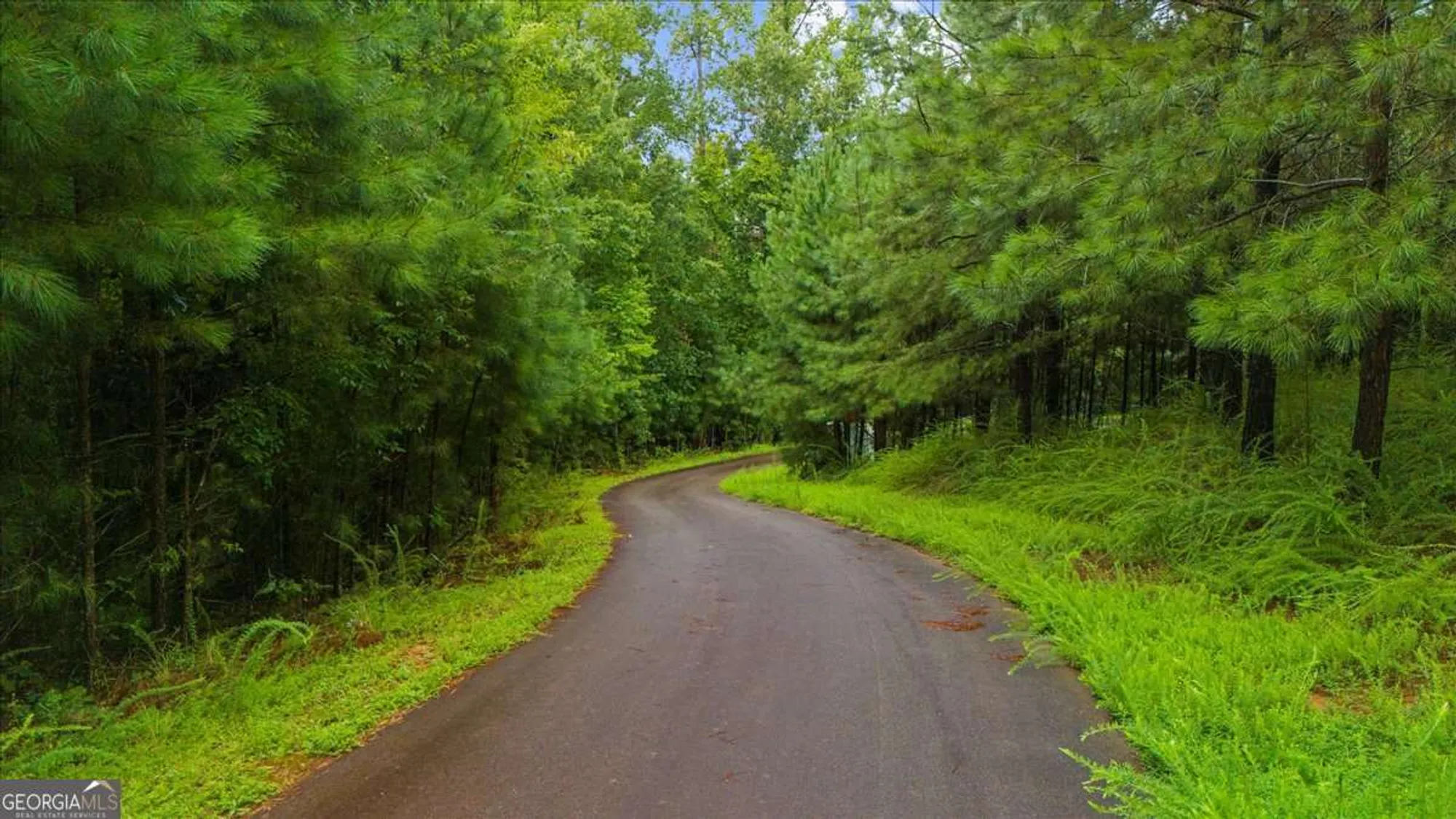 Property Slideshow image 44 of 77 | 3709 maple shade dr, Gainesville, GA, 30504