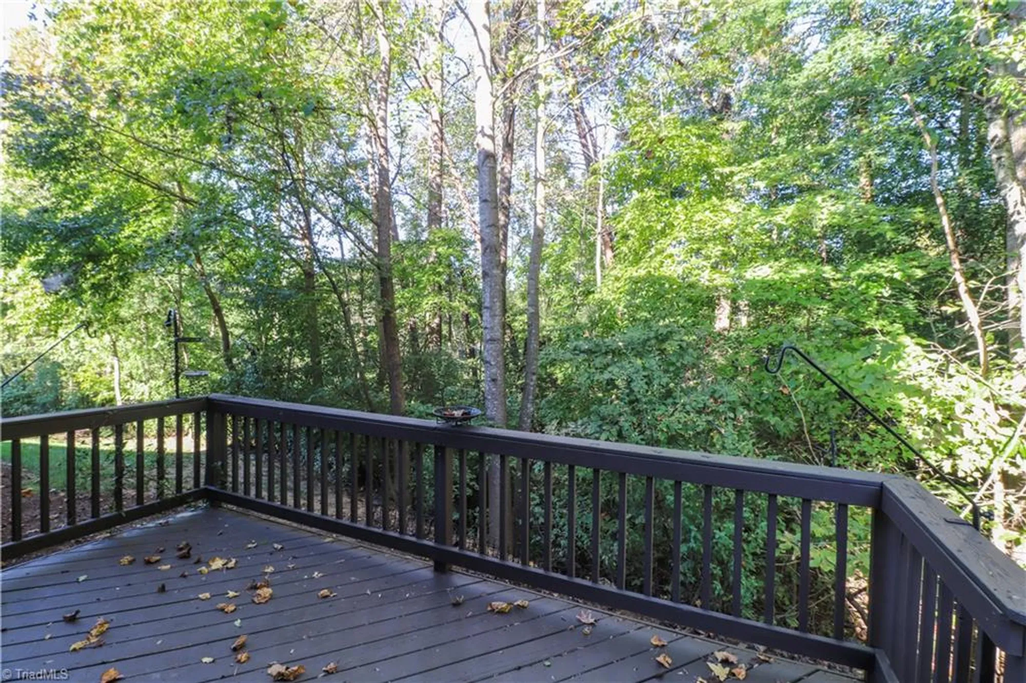 Property Slideshow image 42 of 44 | 22 dutchmans pipe, Greensboro, NC, 27455