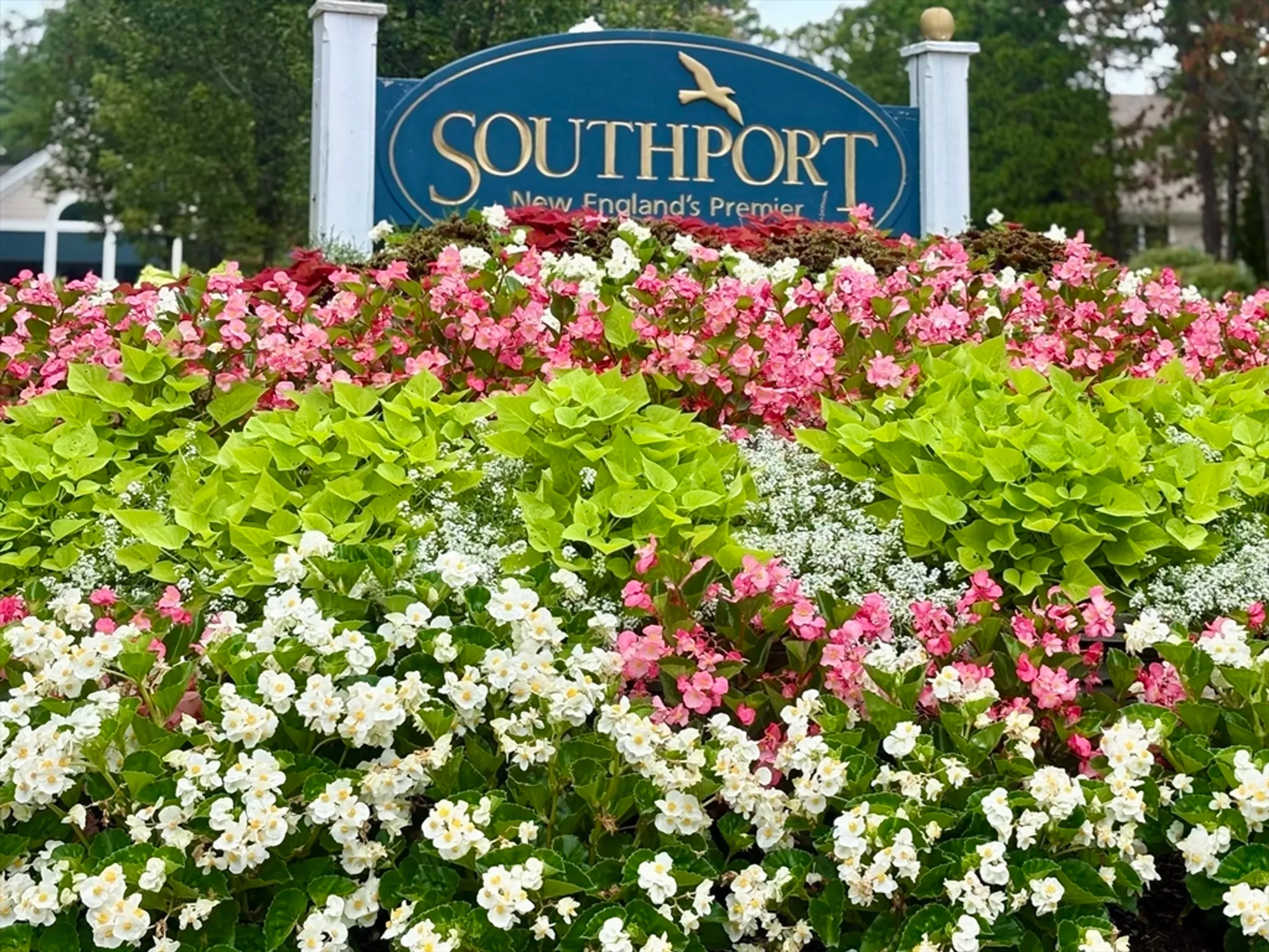 Property Slideshow image 23 of 23 | 80 pine hill blvd # 80, Mashpee, MA, 02649