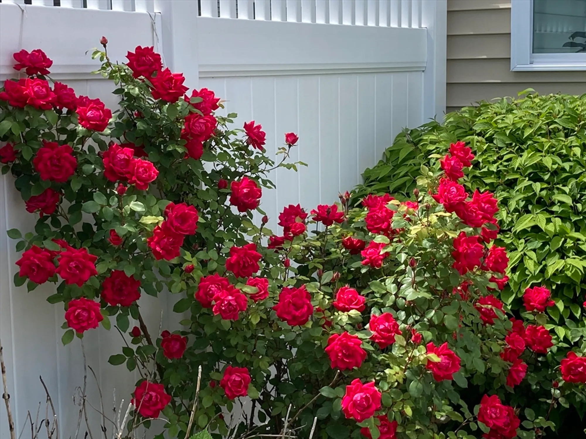 Property Slideshow image 7 of 42 | 22 henry way # 22, Millis, MA, 02054