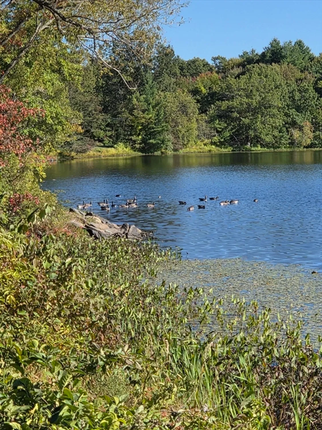 Property Slideshow image 22 of 23 | 3102 peters farm way # 102, Westborough, MA, 01581