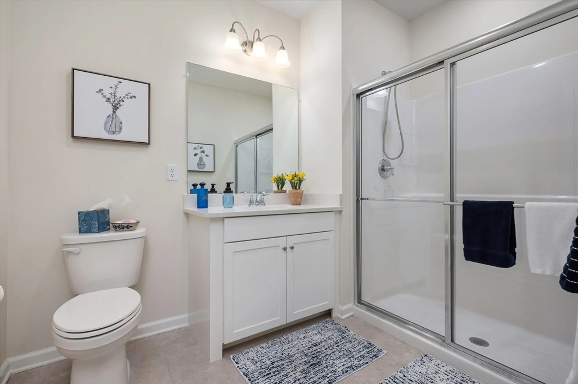 Property Slideshow image 14 of 32 | 4403 peters farm way 403, Westborough, MA, 01581