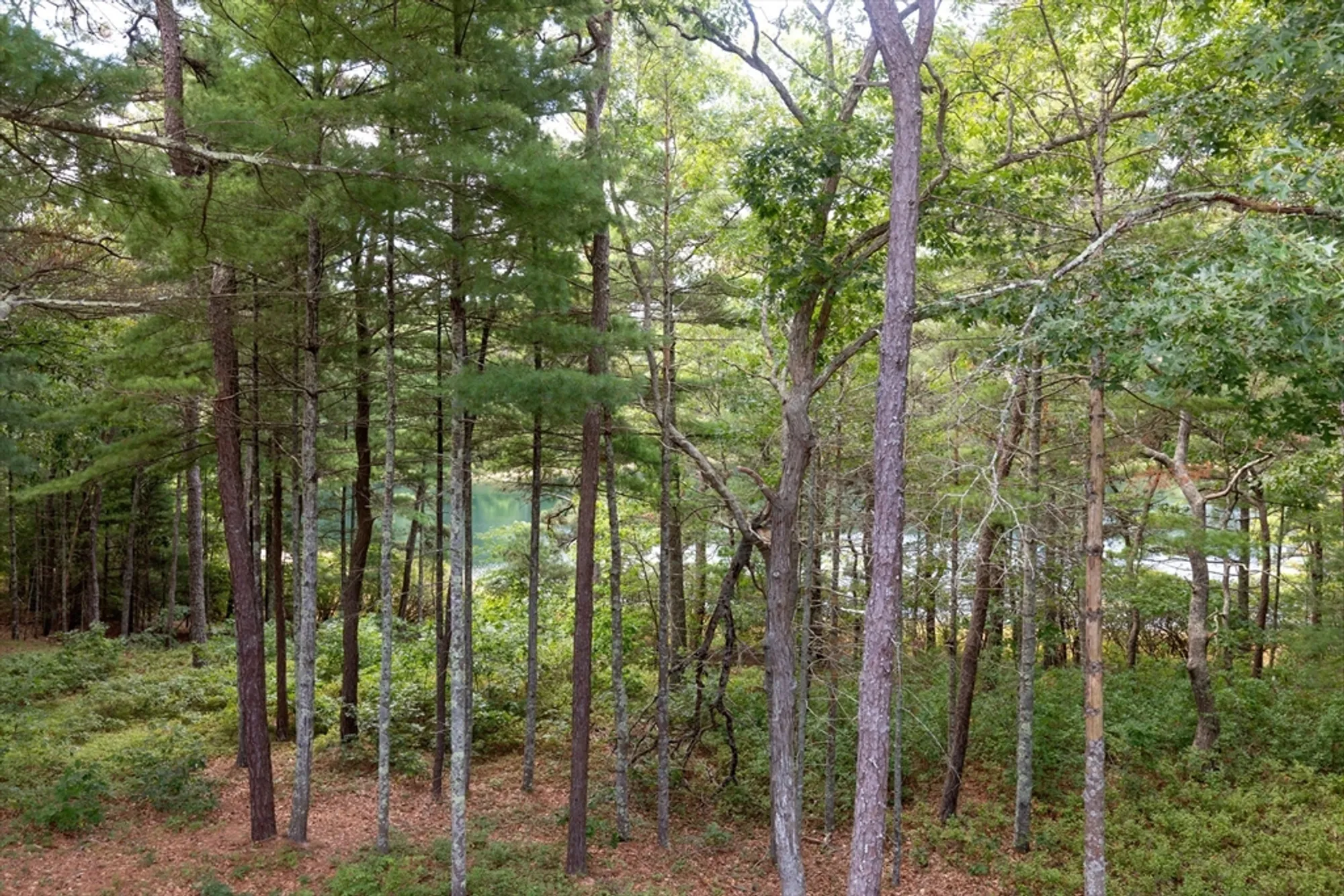 Property Slideshow image 28 of 36 | 19 red leaf, Plymouth, MA, 02360