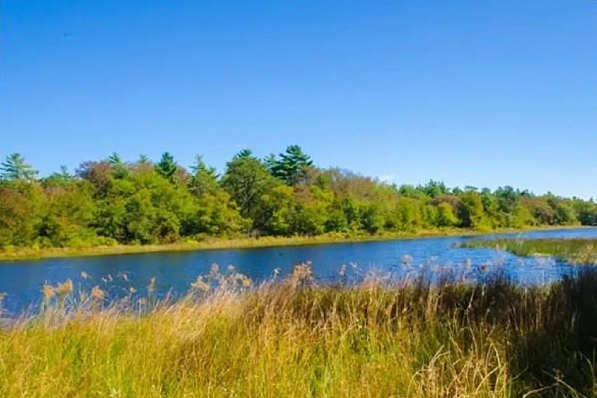 Property Slideshow image 34 of 38 | 9 hathaway pond cir # 9, Rochester, MA, 02770