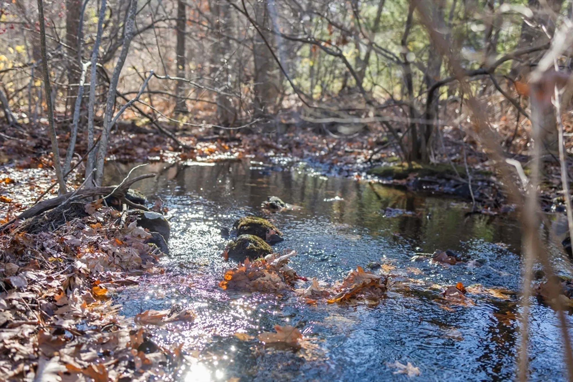 Property Slideshow image 36 of 36 | 11 whispering brook rd # 55, Marlborough, MA, 01752