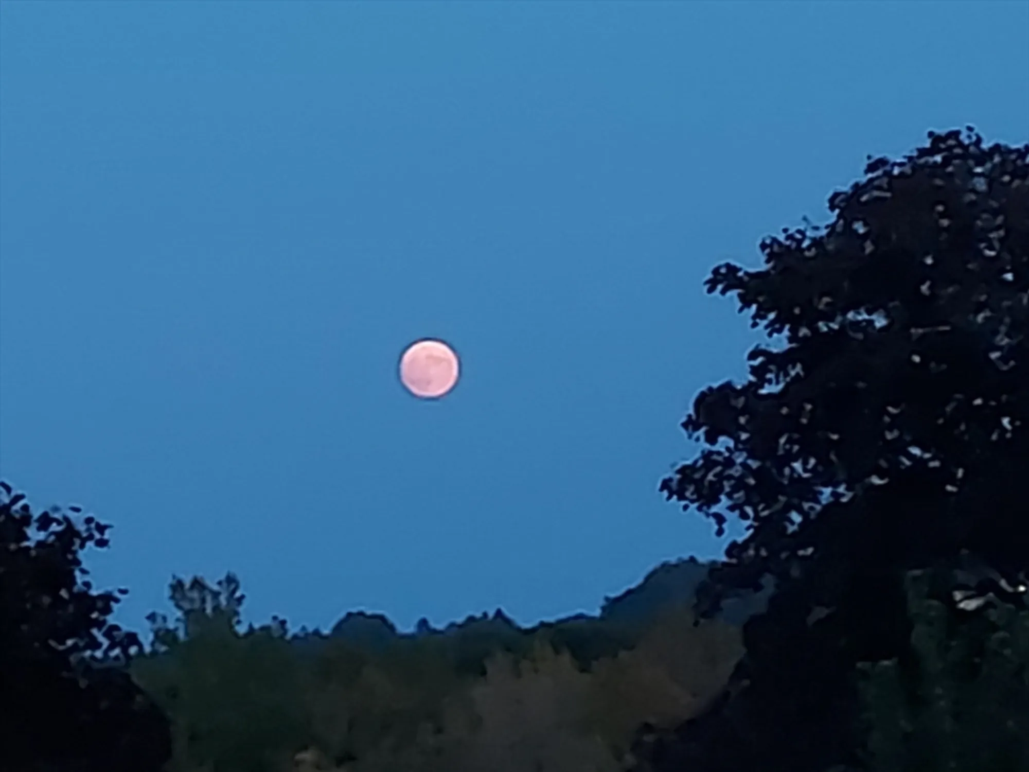 Property Slideshow image 31 of 41 | 2 talbot way 2208, Westborough, MA, 01581