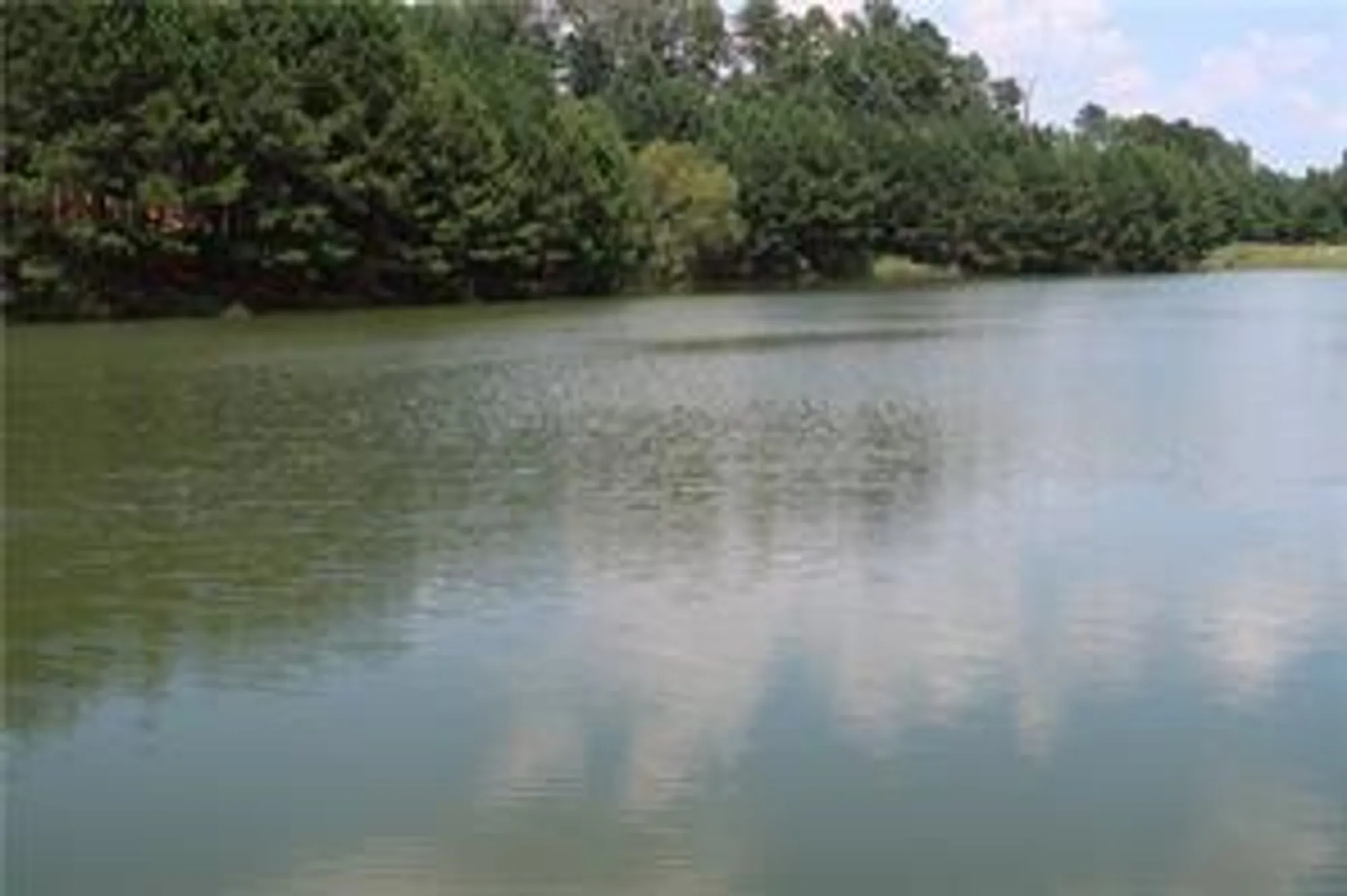 Property Slideshow image 33 of 53 | 1209 lakeside overlook, Canton, GA, 30114