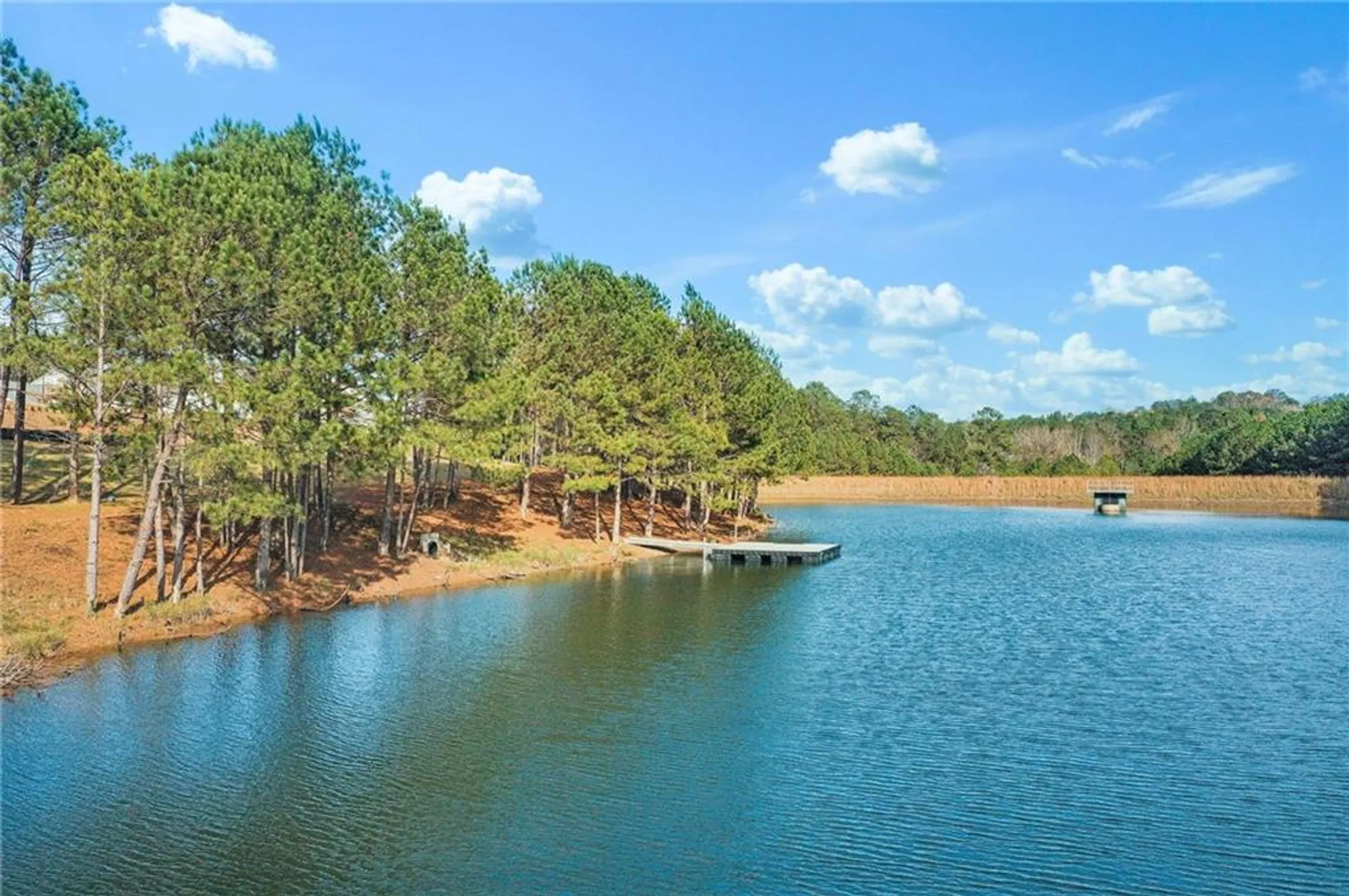 Property Slideshow image 35 of 53 | 1209 lakeside overlook, Canton, GA, 30114