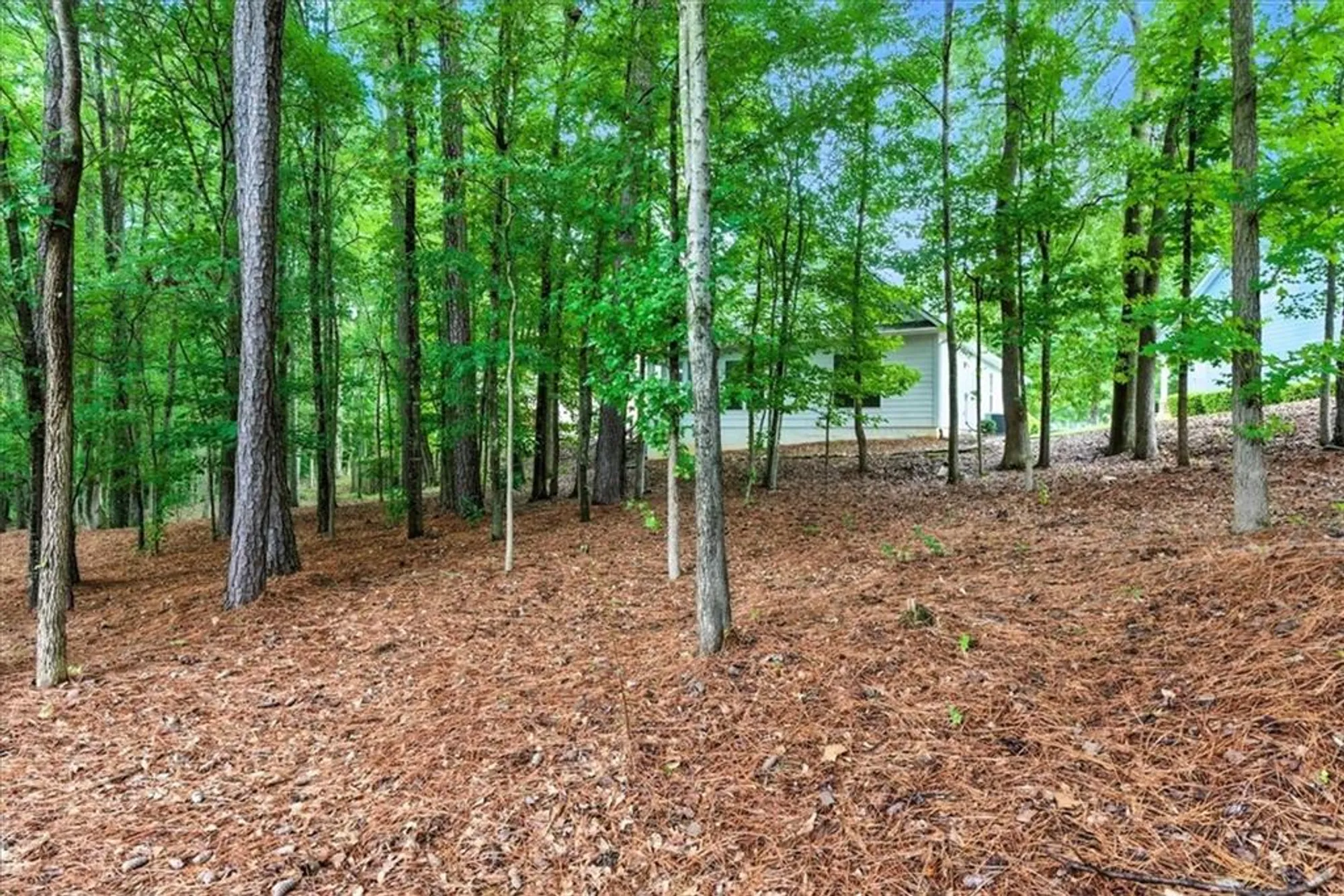 Property Slideshow image 38 of 55 | 3637 spring beauty ct, Powder Springs, GA, 30127