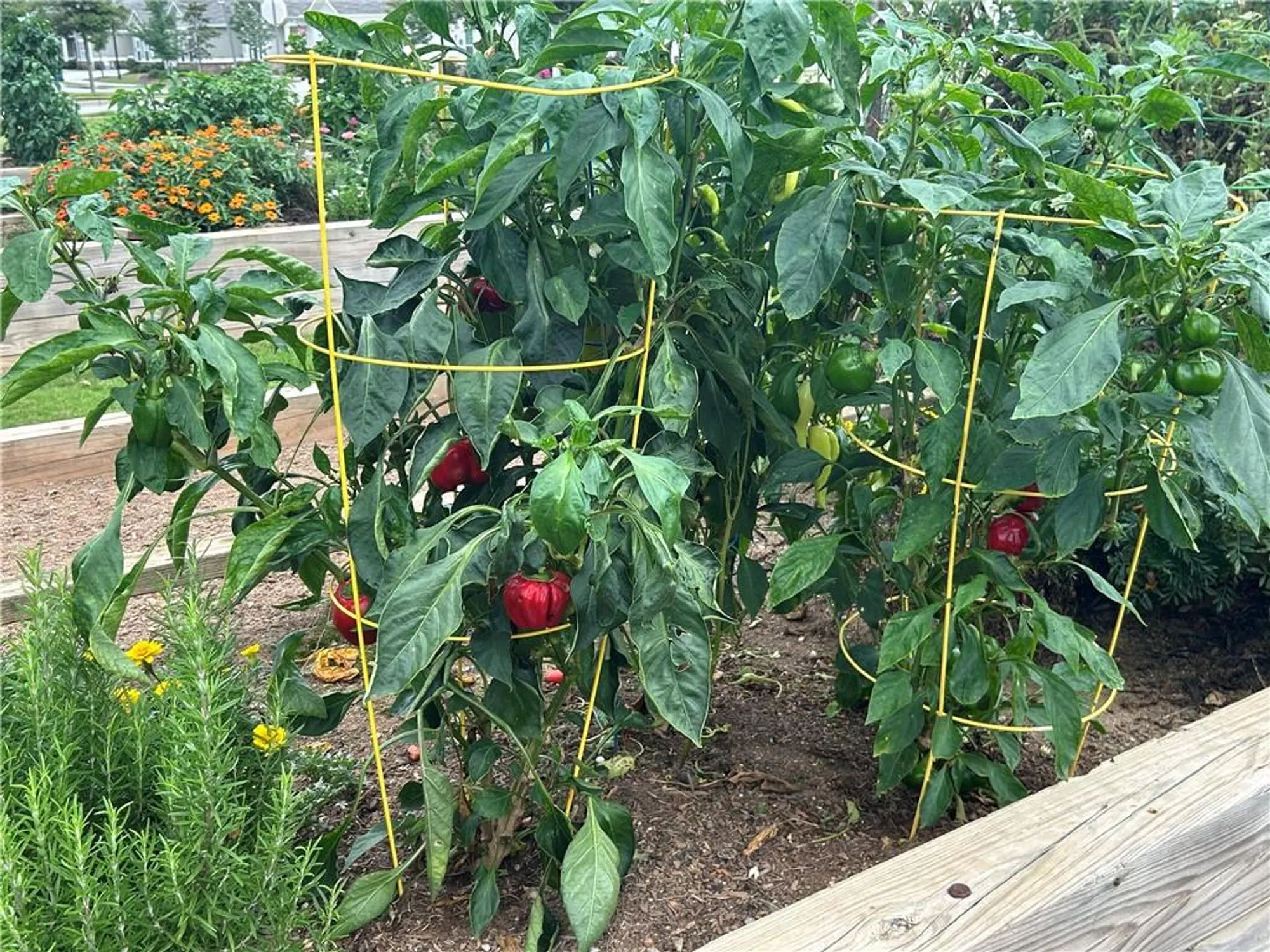 Property Slideshow image 42 of 44 | 2984 rambler dr, Loganville, GA, 30052