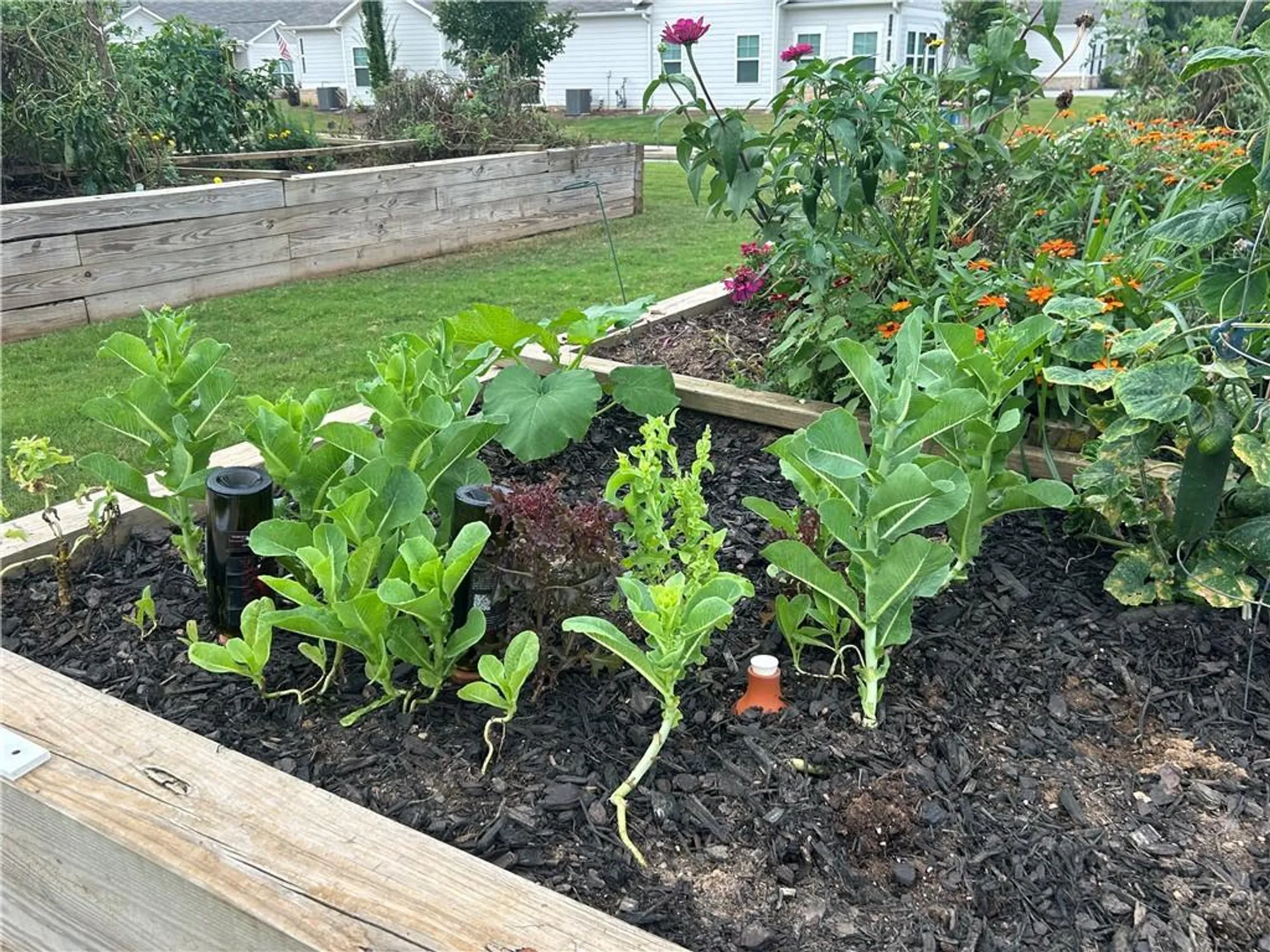 Property Slideshow image 43 of 44 | 2984 rambler dr, Loganville, GA, 30052