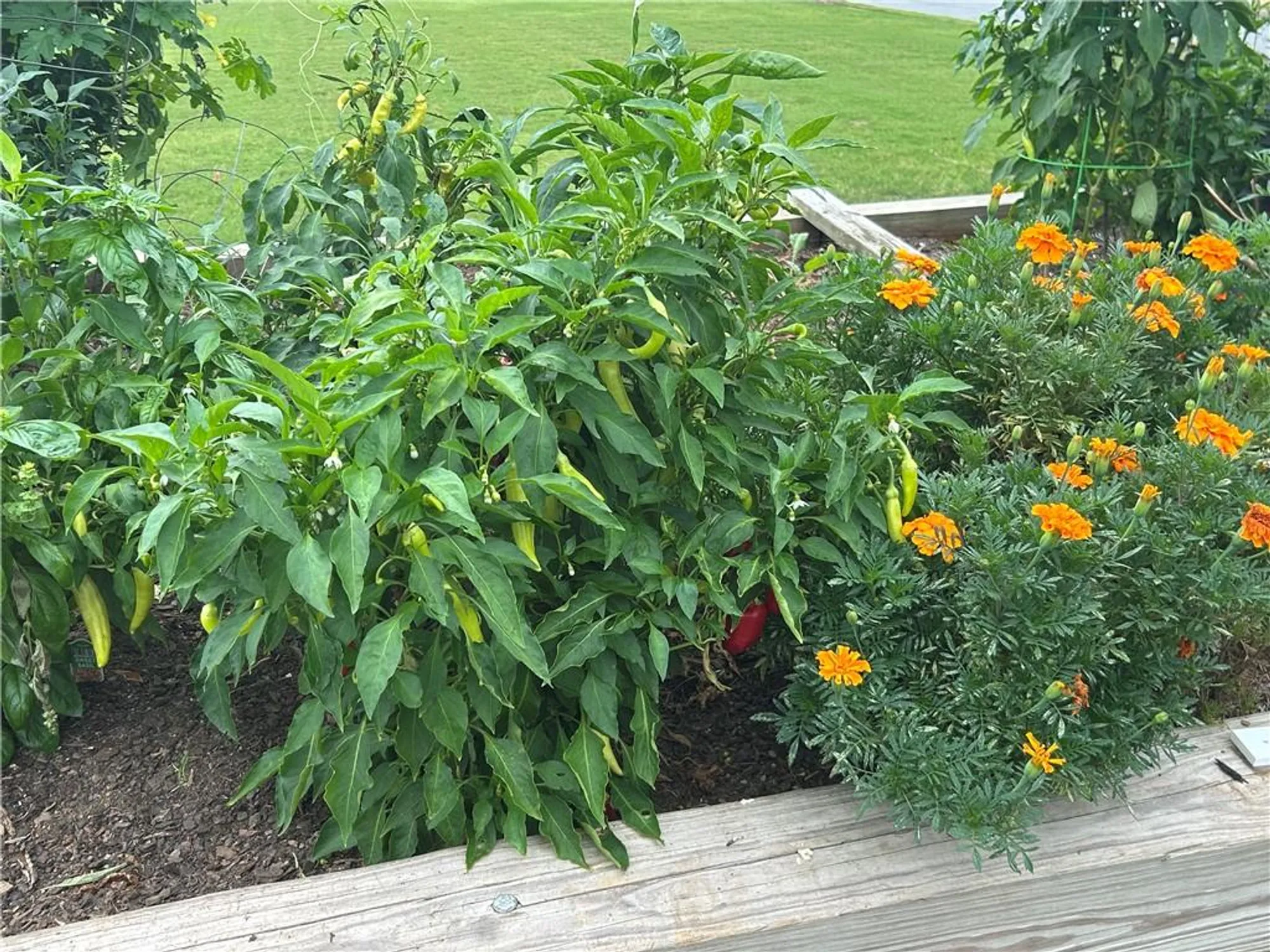 Property Slideshow image 44 of 44 | 2984 rambler dr, Loganville, GA, 30052