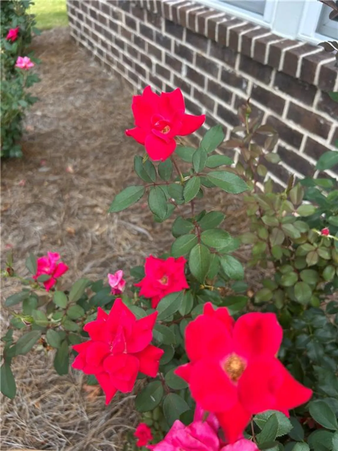 Property Slideshow image 5 of 44 | 2984 rambler dr, Loganville, GA, 30052