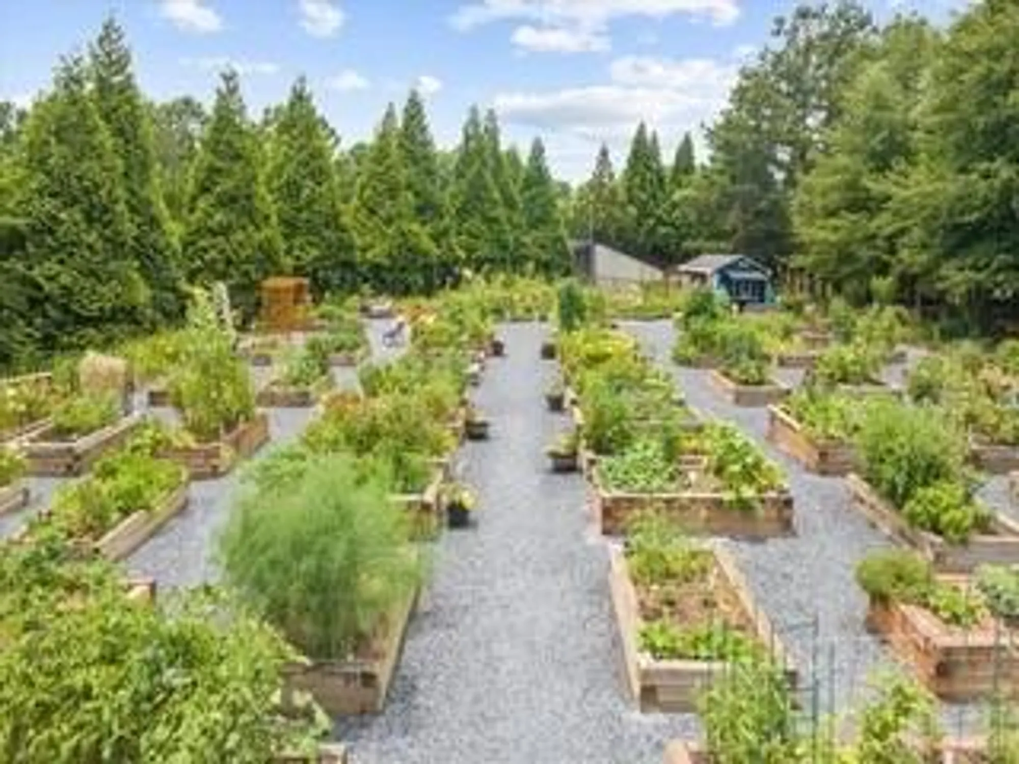 Property Slideshow image 89 of 92 | 3217 black gum ln, Gainesville, GA, 30504