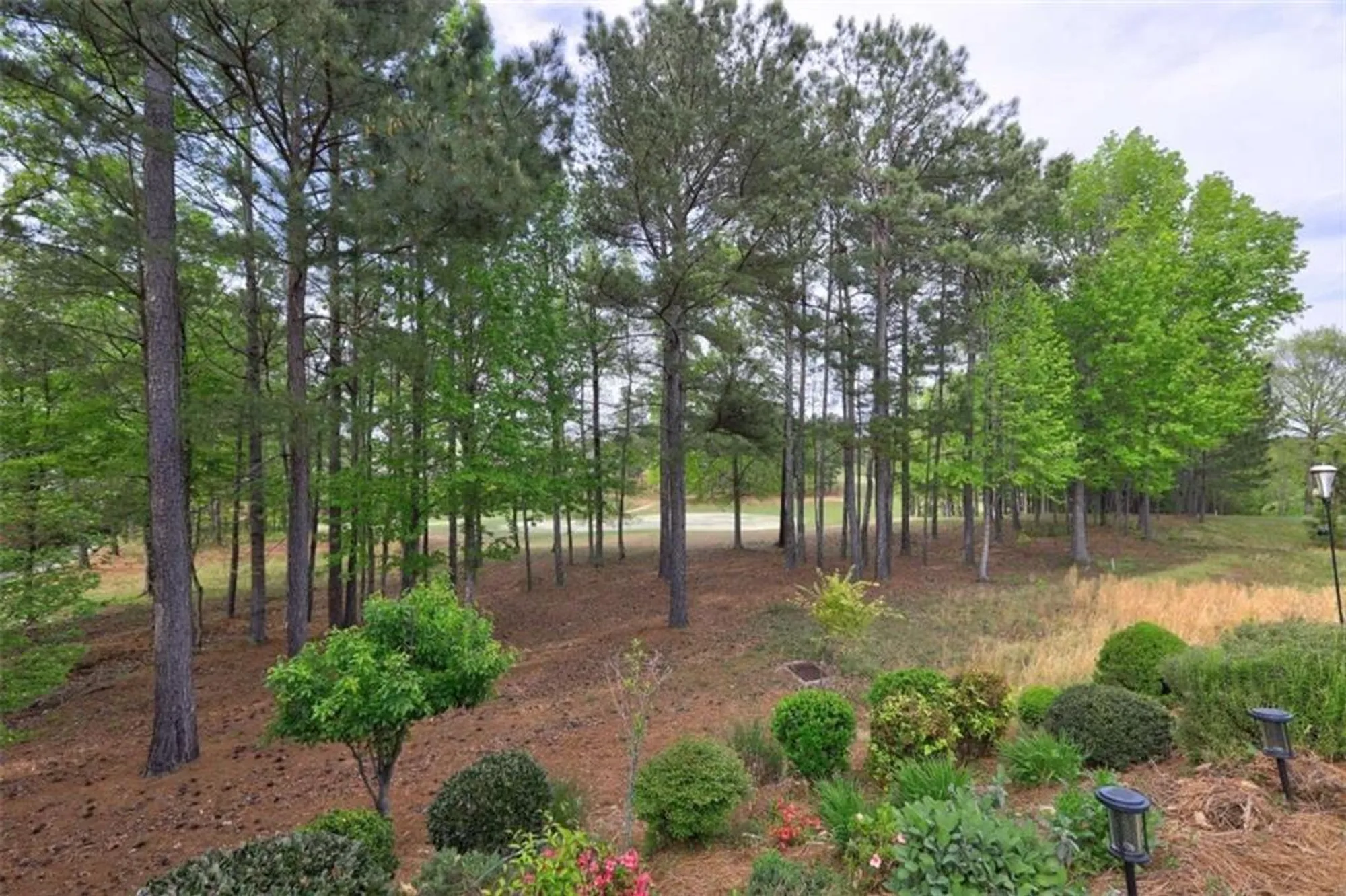 Property Slideshow image 18 of 18 | 802 dusky sap ct, Griffin, GA, 30223