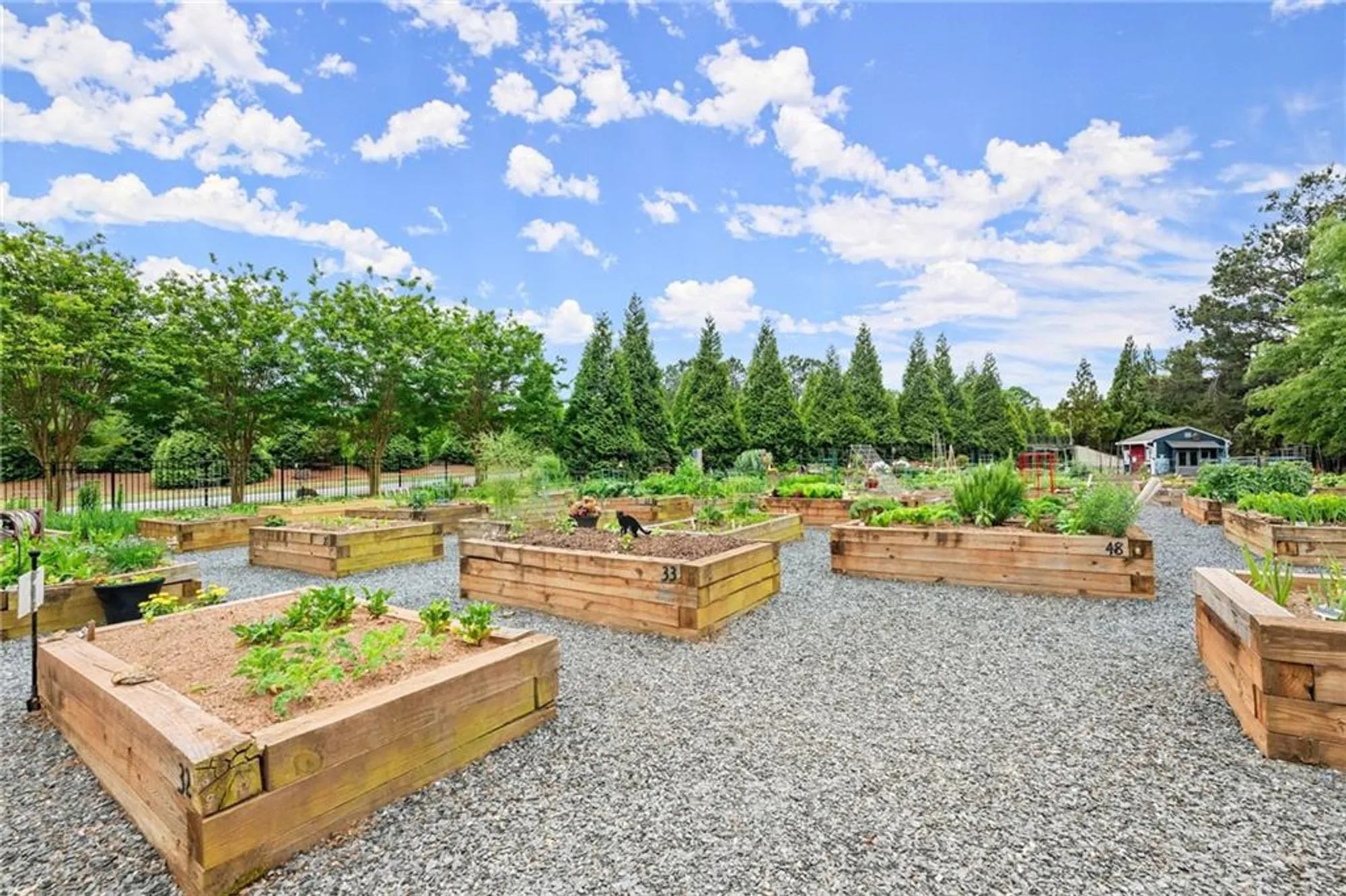 Property Slideshow image 25 of 58 | 3133 scarlet oak ln, Gainesville, GA, 30504