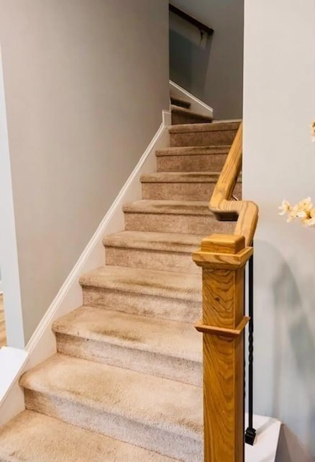 Property Slideshow image 40 of 55 | 513 forest ln, Canton, GA, 30114