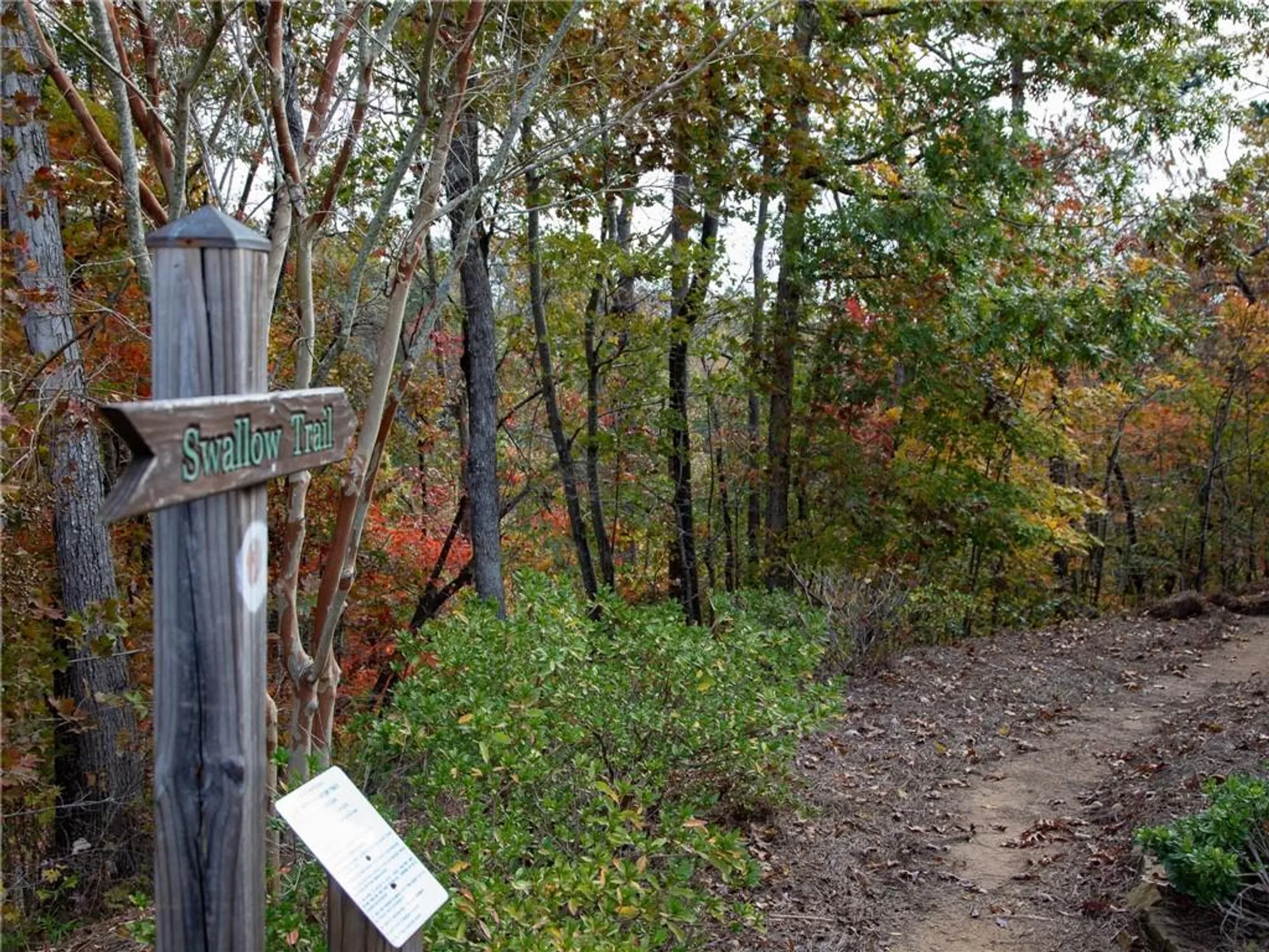 Property Slideshow image 40 of 40 | 3176 willow creek dr, Gainesville, GA, 30504