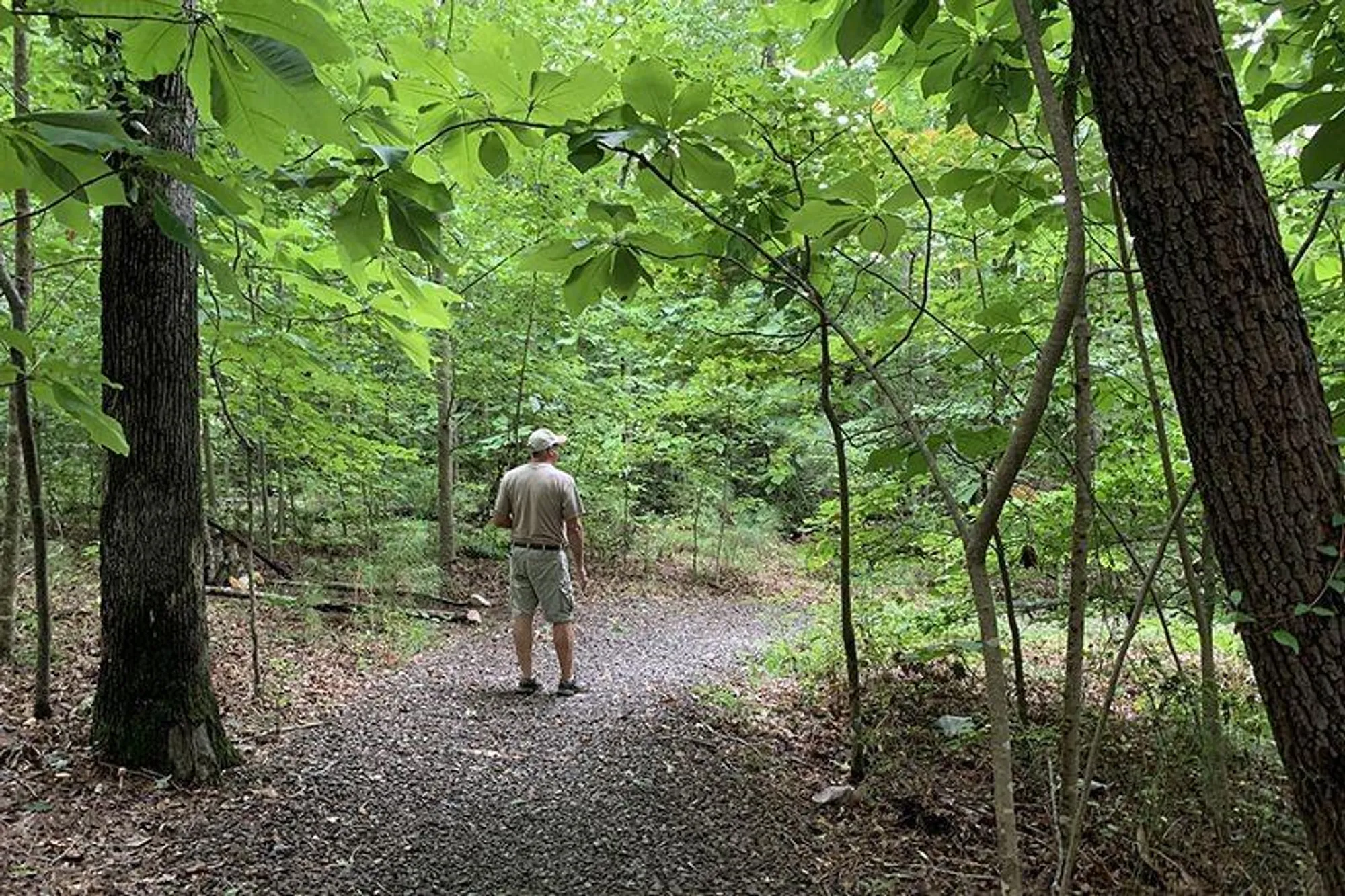 Property Slideshow image 63 of 66 | 633 hemlock trl, Canton, GA, 30114