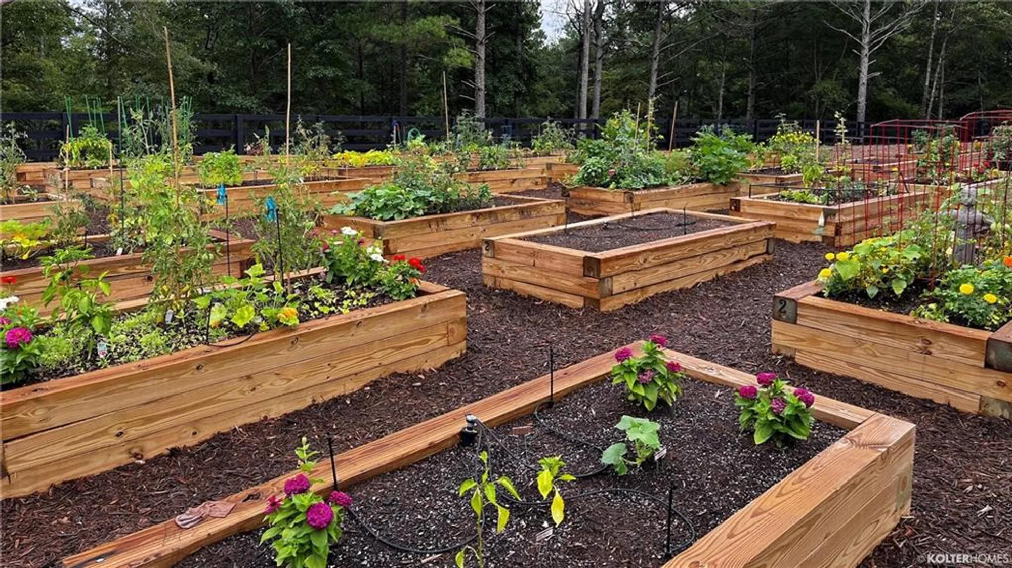 Property Slideshow image 33 of 38 | 158 chatuge dr, Hoschton, GA, 30548