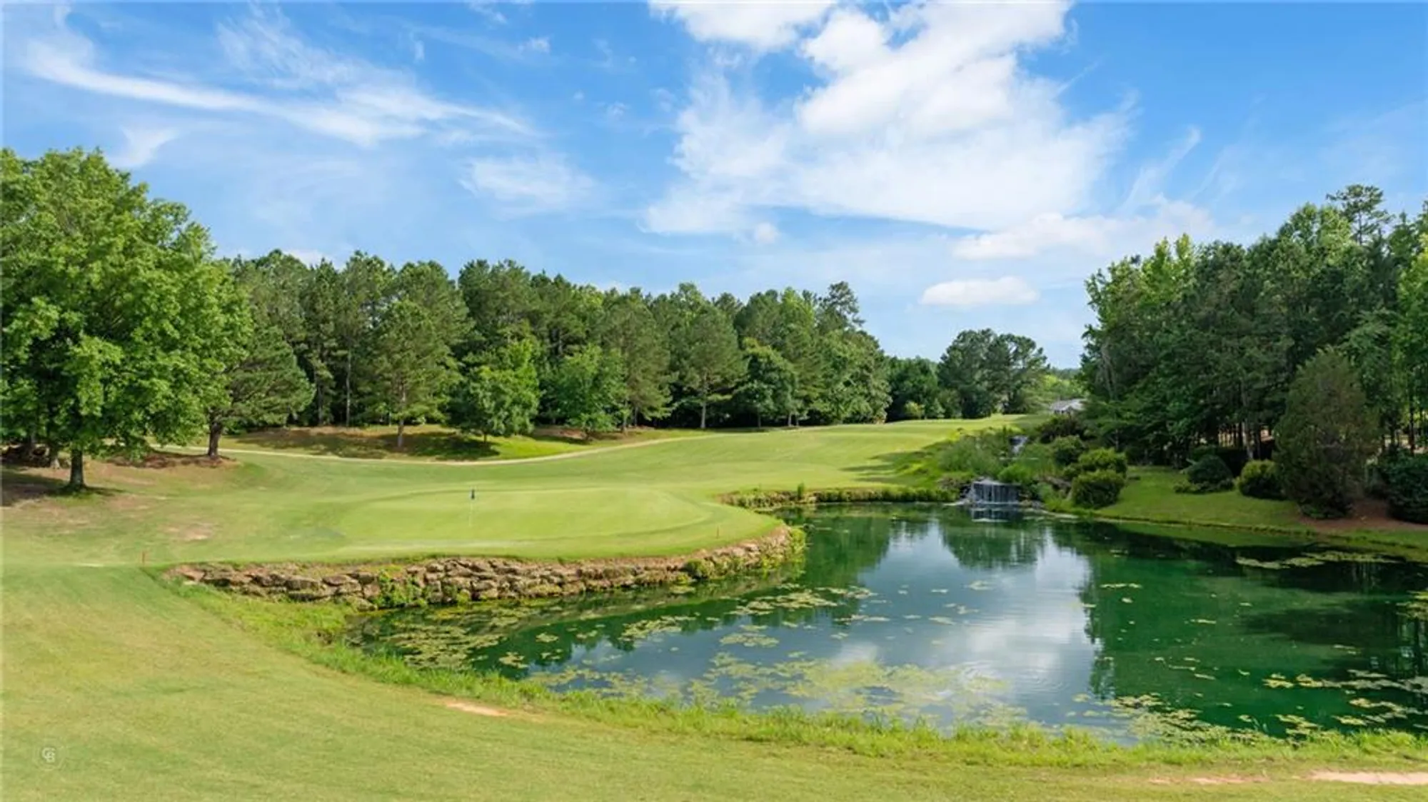 Property Slideshow image 85 of 91 | 329 sandy springs dr, Griffin, GA, 30223