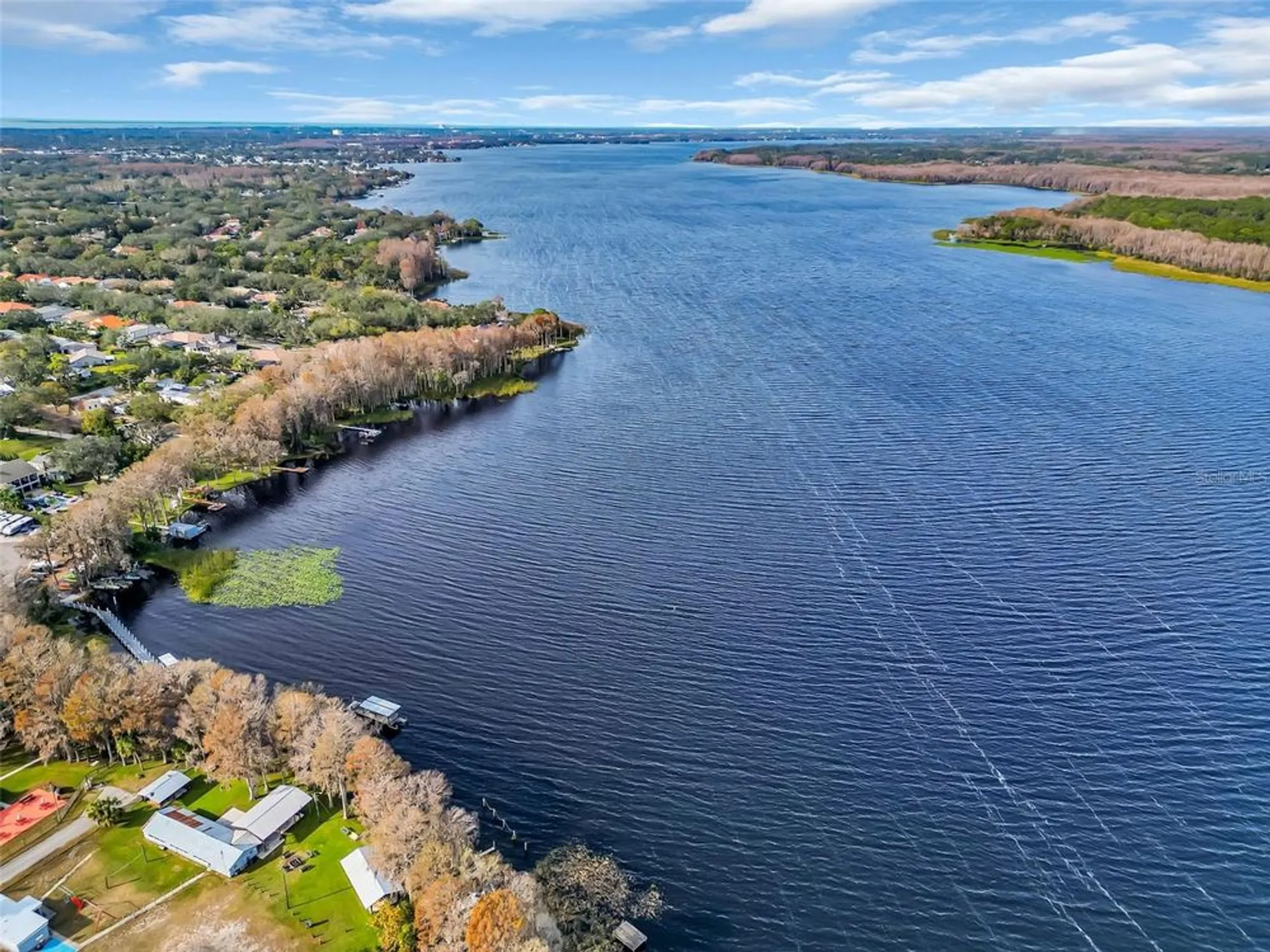 Property Slideshow image 55 of 55 | 3284 gorse ct, Palm Harbor, FL, 34684