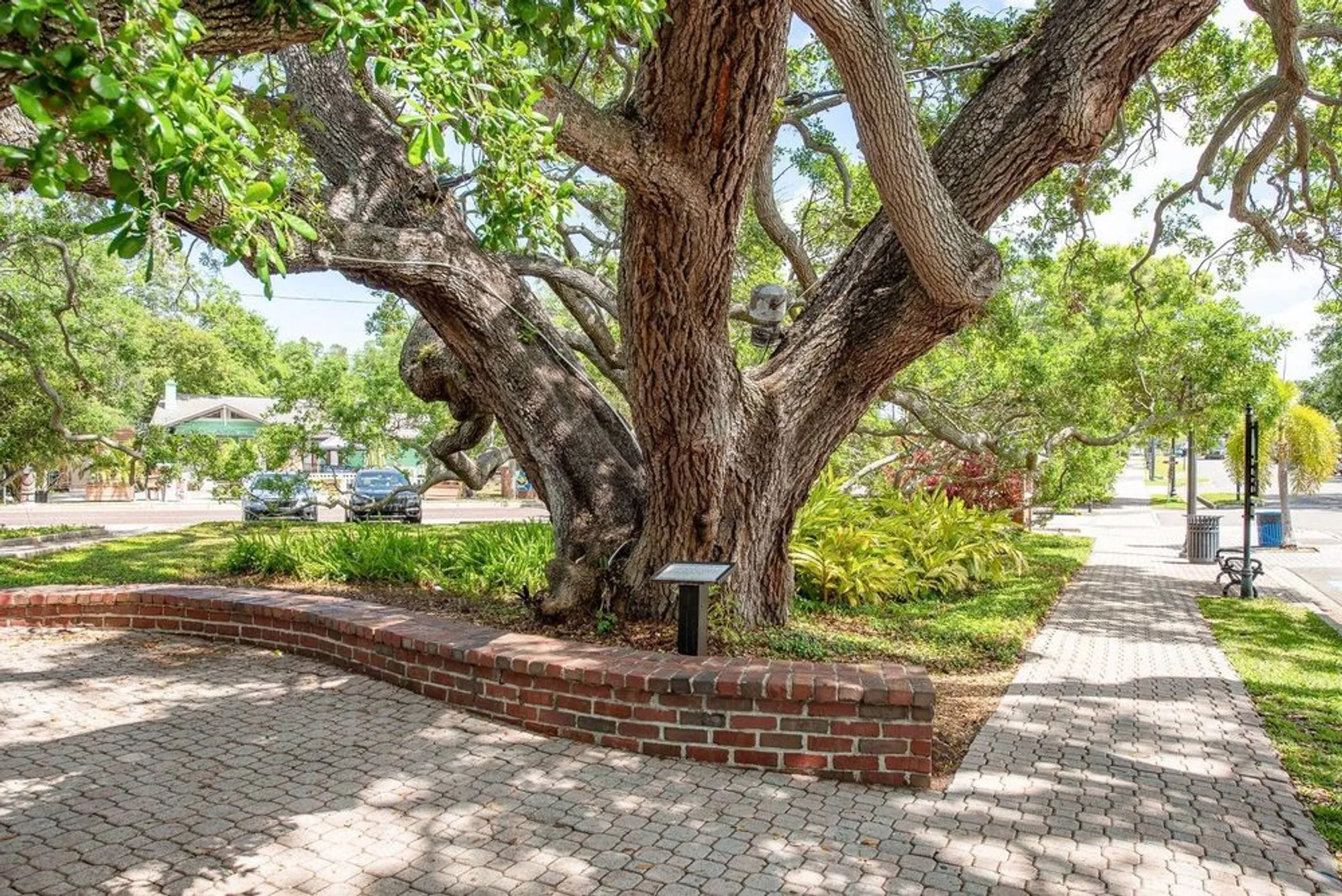 Property Slideshow image 27 of 27 | 952 virginia st 105, Dunedin, FL, 34698