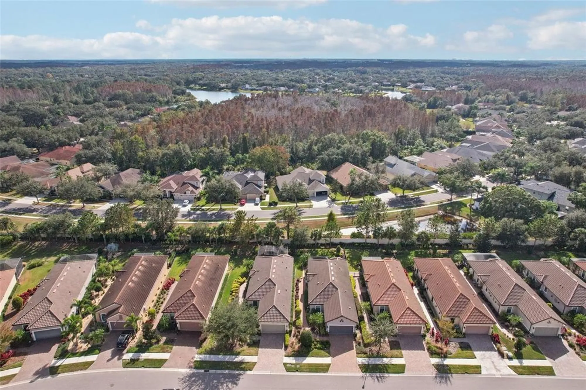 Property Slideshow image 21 of 31 | 8433 alberata vista dr, Tampa, FL, 33647