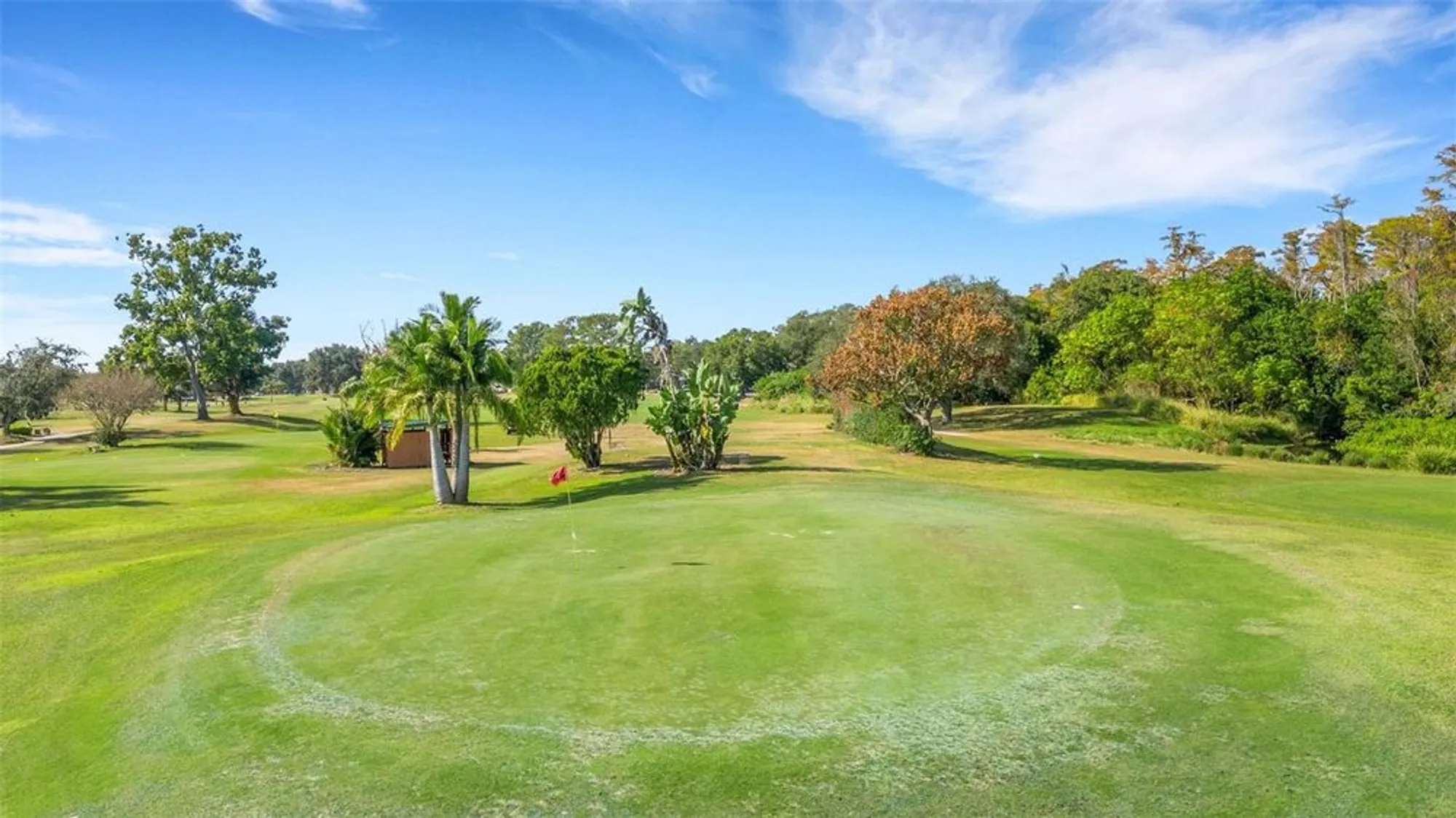 Property Slideshow image 45 of 70 | 2416 world parkway blvd apt 8, Clearwater, FL, 33763