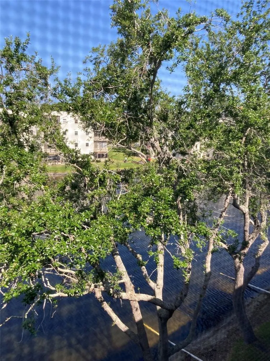 Property Slideshow image 1 of 59 | 6080 80th st n unit 409, St Petersburg, FL, 33709