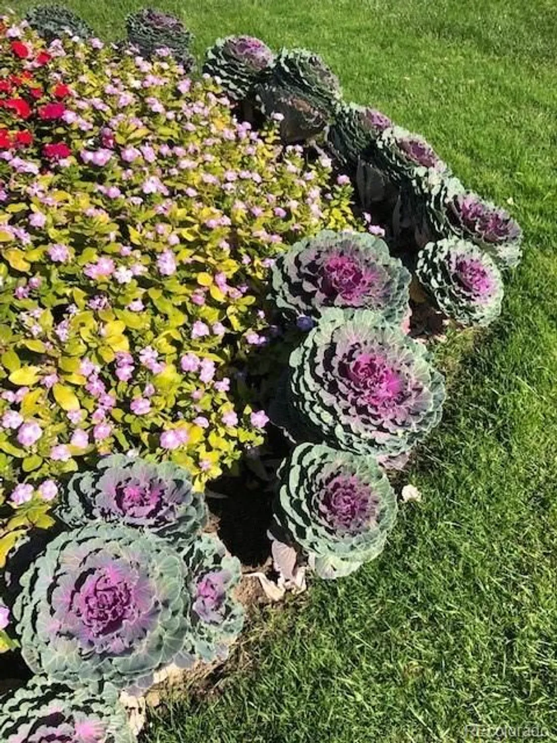 Property Slideshow image 46 of 49 | 675 s clinton st 4b, Denver, CO, 80247