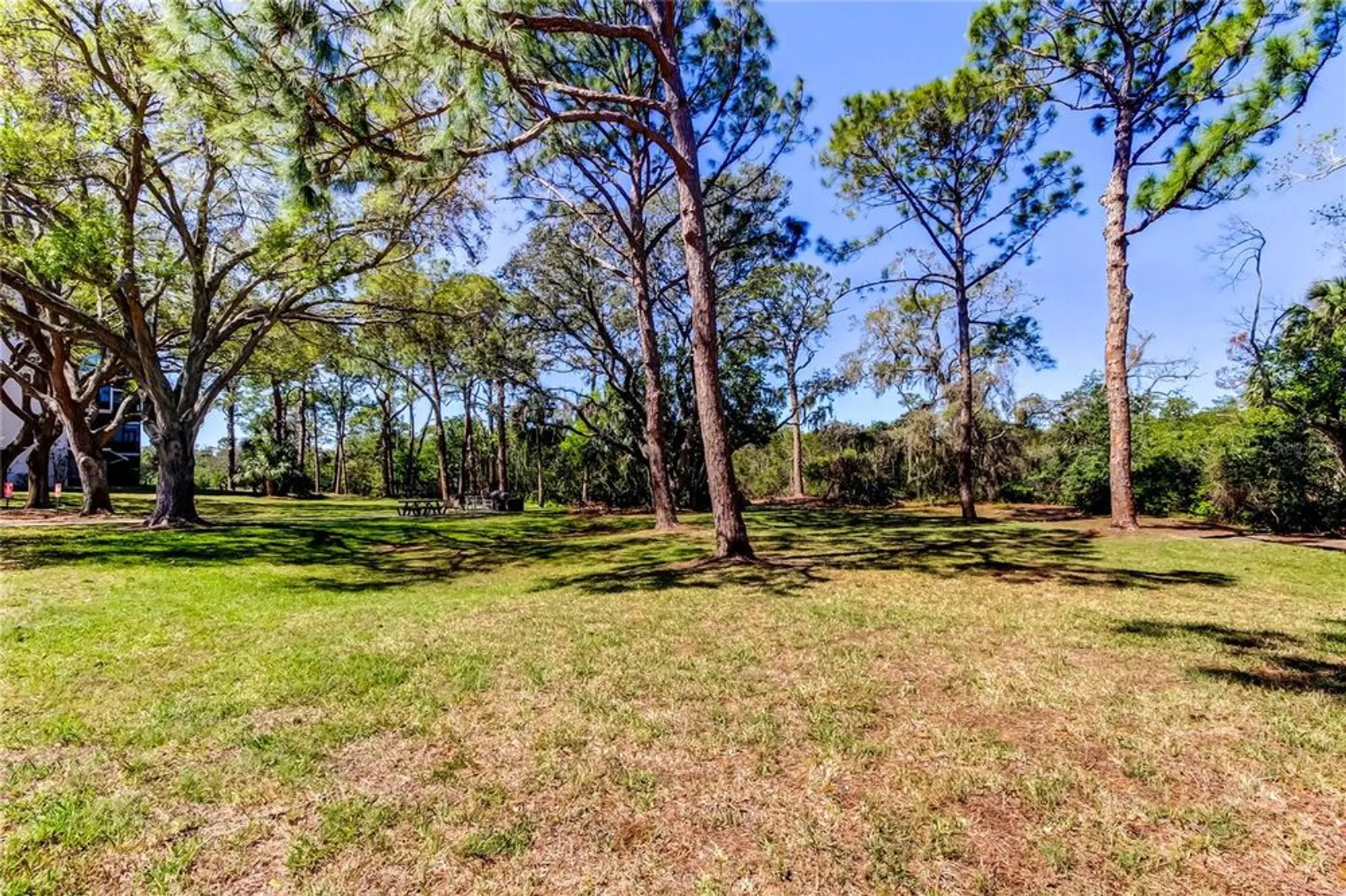 Property Slideshow image 49 of 50 | 5521 80th st n unit 315, Saint Petersburg, FL, 33709