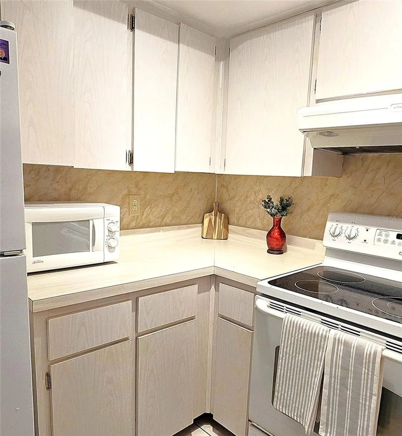 Property Slideshow image 12 of 31 | 2390 shelly dr d, Palm Harbor, FL, 34684