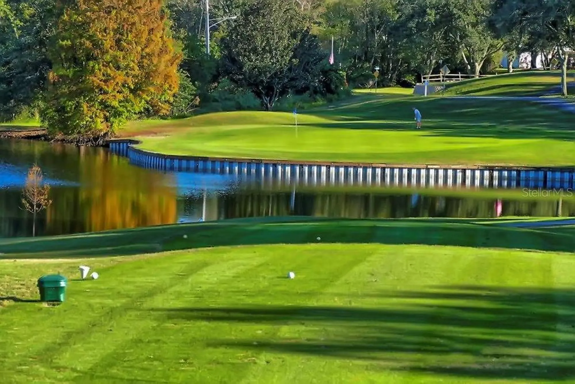 Property Slideshow image 56 of 61 | 1012 dunrobin dr d, Palm Harbor, FL, 34684