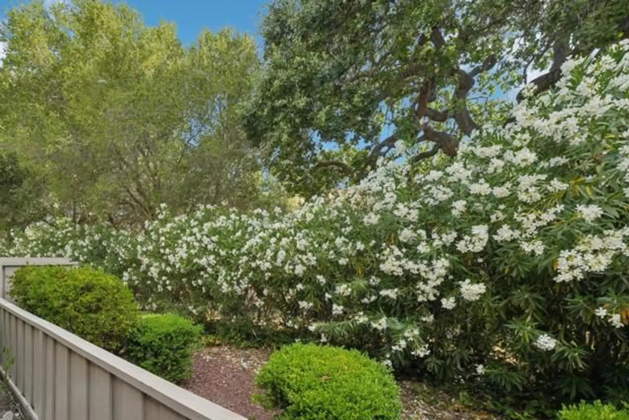 Property Slideshow image 8 of 45 | 5286 cribari hts, San Jose, CA, 95135