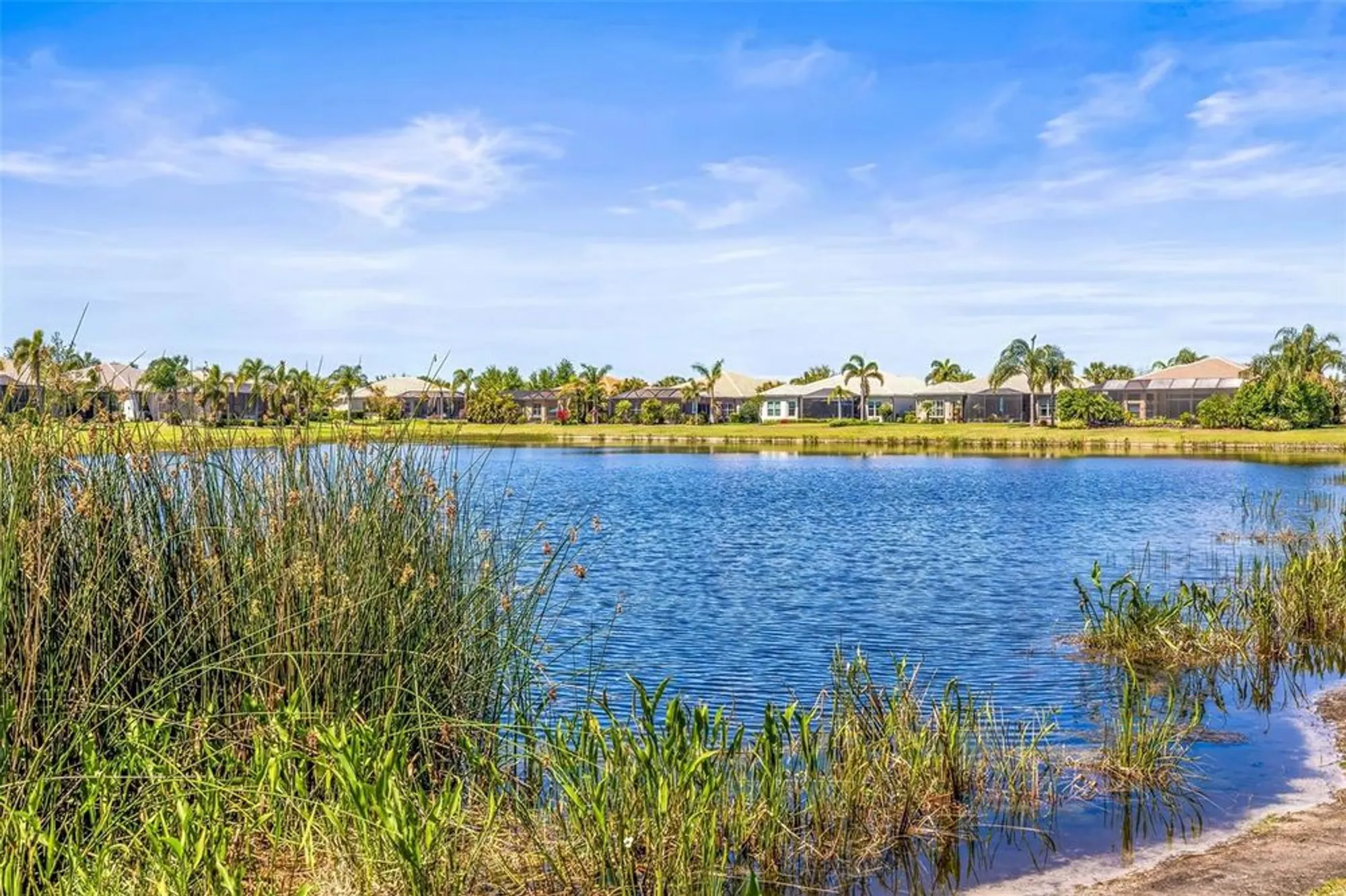 Property Slideshow image 50 of 88 | 5073 stone harbor cir, Wimauma, FL, 33598