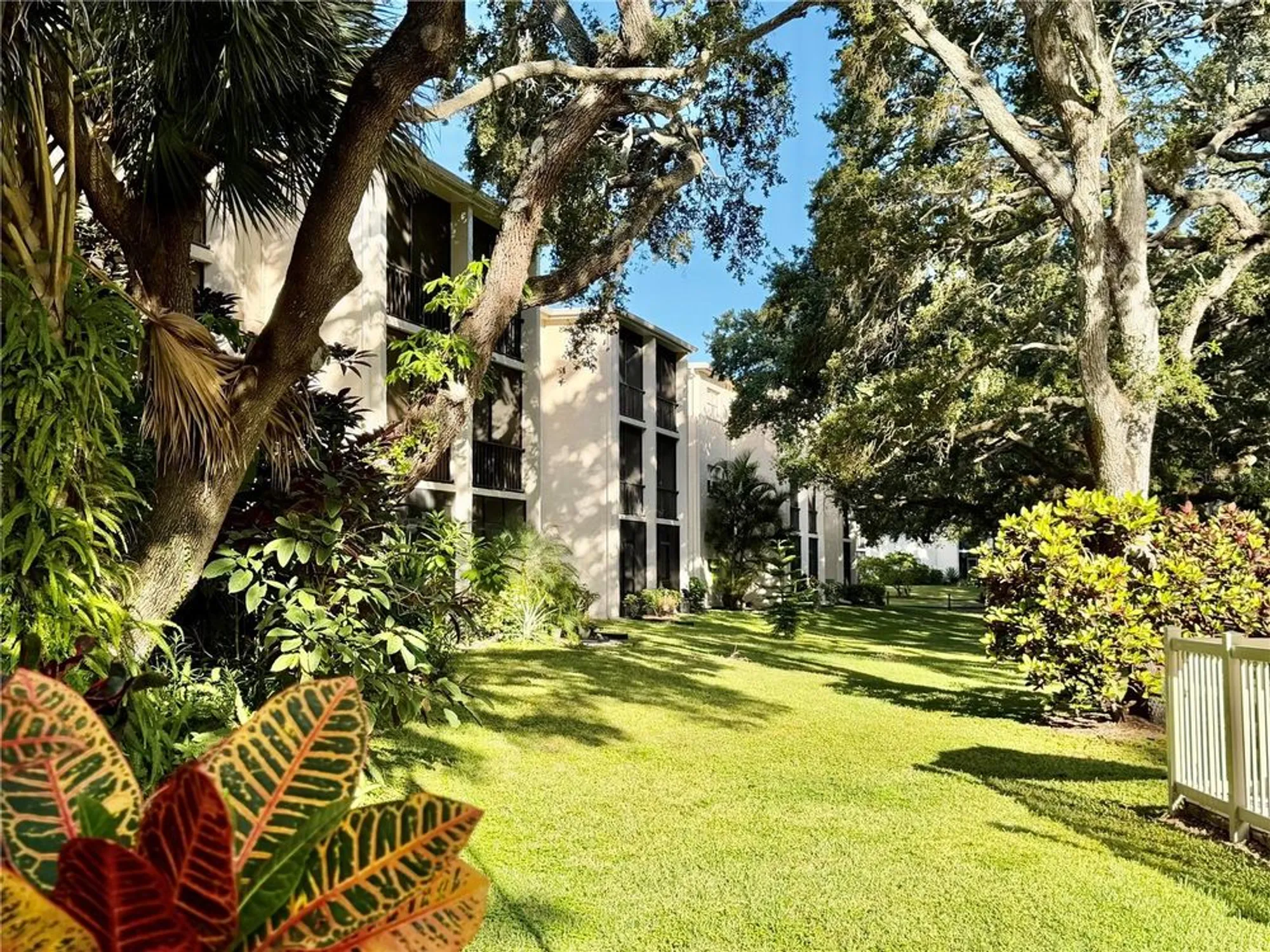 Property Slideshow image 4 of 34 | 870 virginia st apt 302, Dunedin, FL, 34698