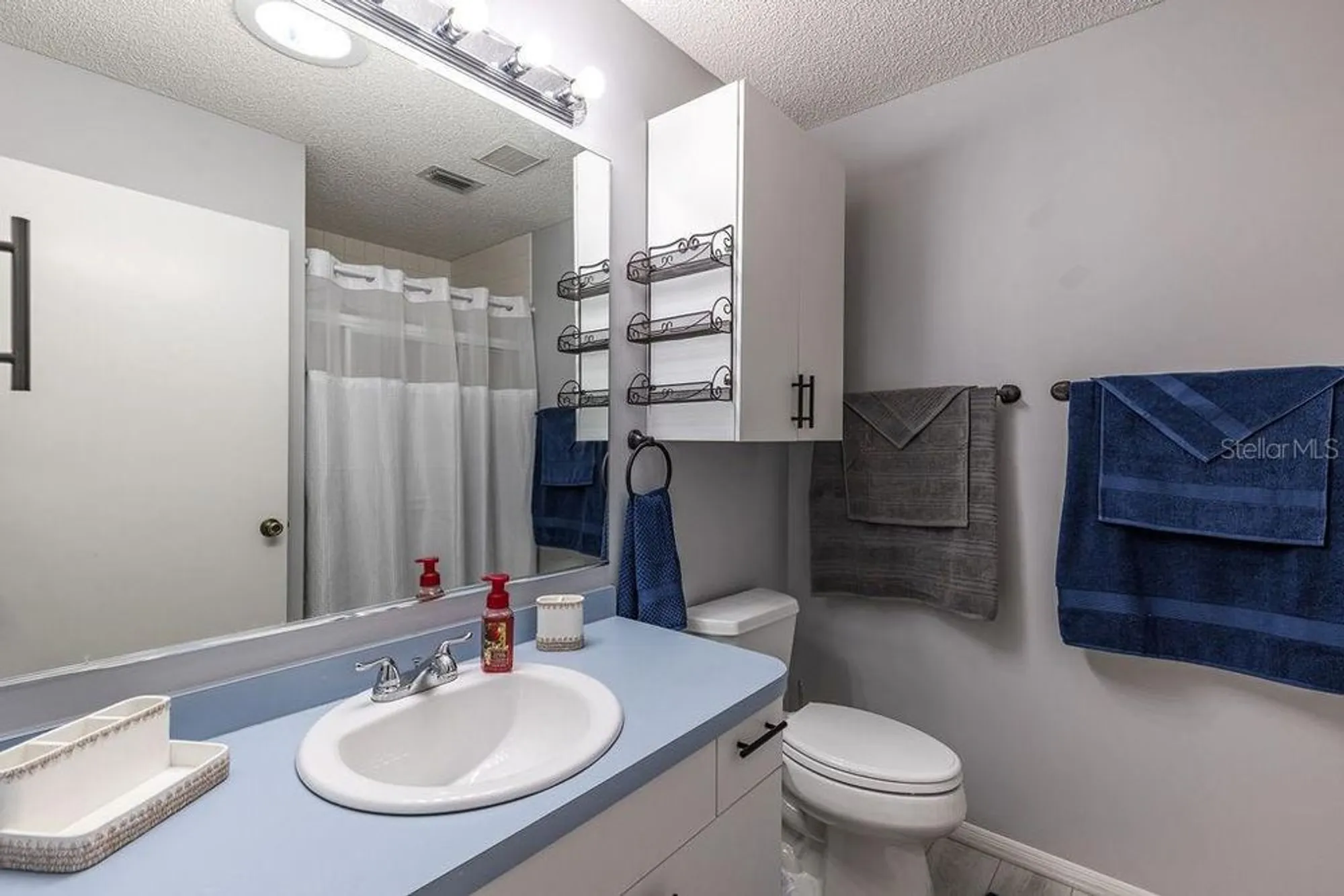 Property Slideshow image 24 of 37 | 1501 alfonso ln, The Villages, FL, 32159