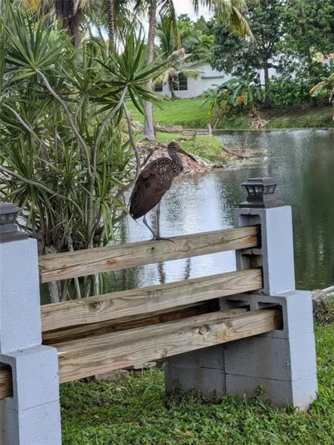 Property Slideshow image 31 of 35 | 985 nw 69th ave, Margate, FL, 33063