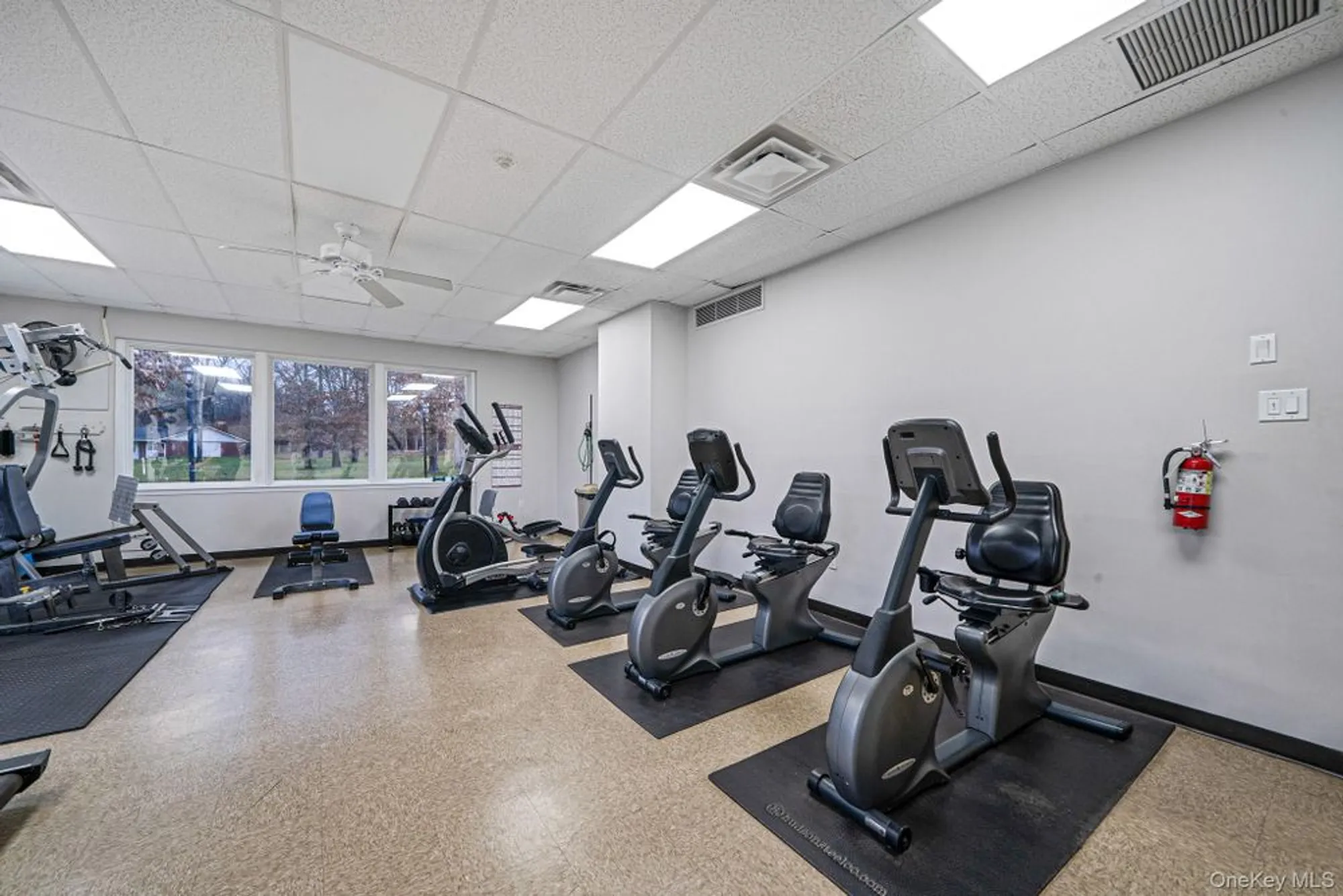 Property Slideshow image 22 of 24 | 380 woodbridge dr d, Ridge, NY, 11961