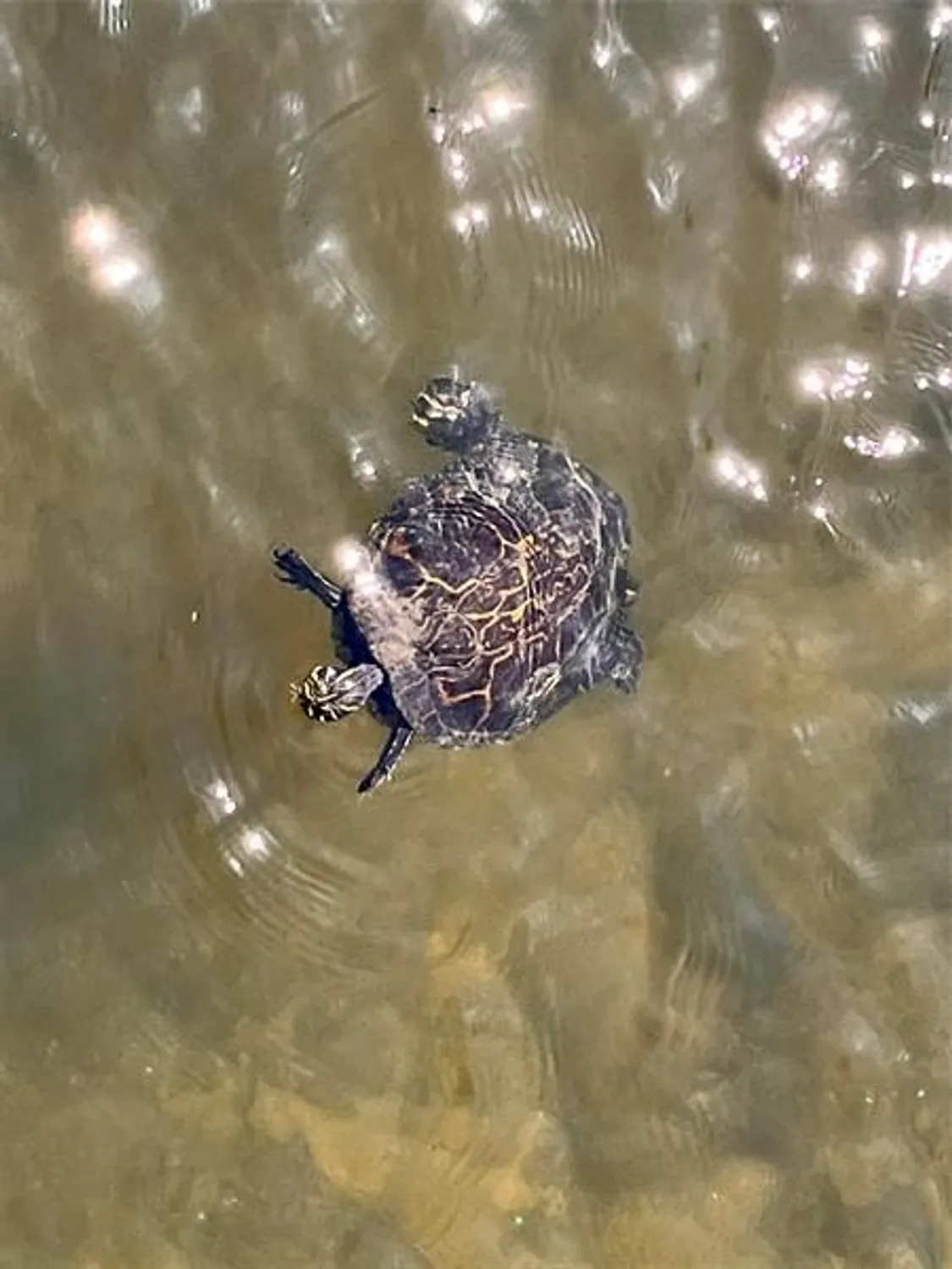 Property Slideshow image 25 of 25 | 4940 e sabal palm blvd apt 414, Tamarac, FL, 33319