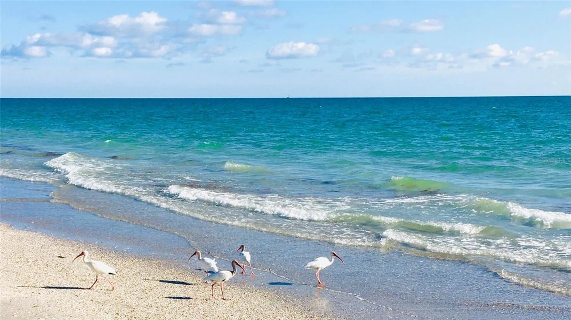 Property Slideshow image 98 of 99 | 10812 trophy dr, Englewood, FL, 34223