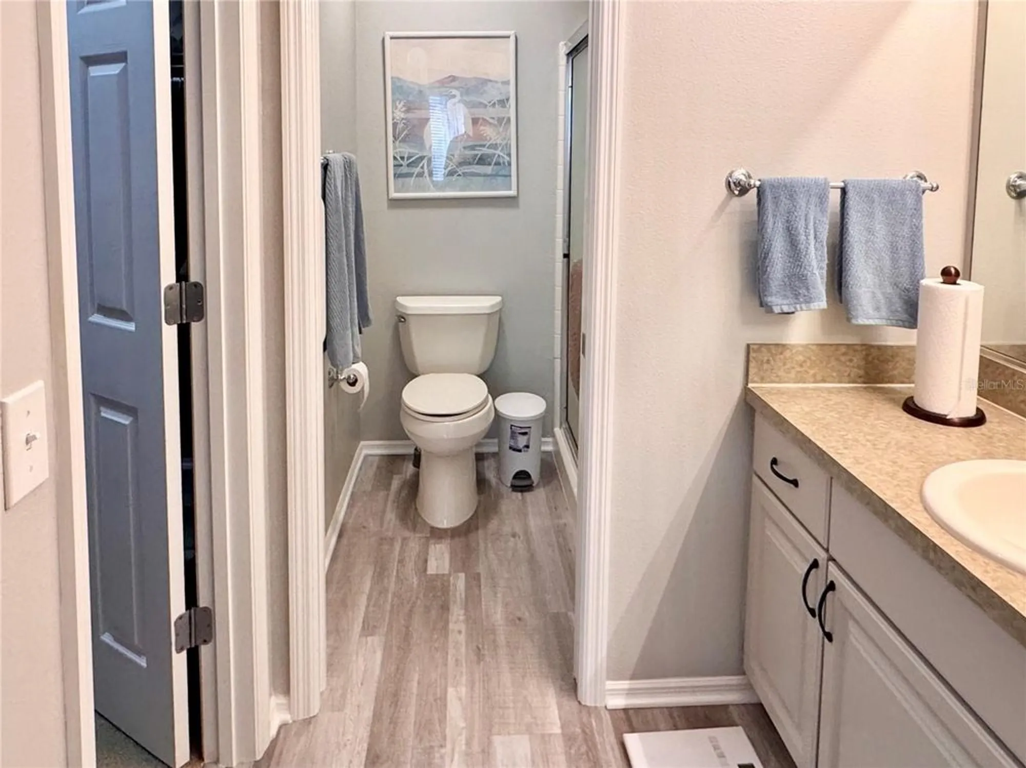 Property Slideshow image 22 of 28 | 2507 everwood ct, The Villages, FL, 32162