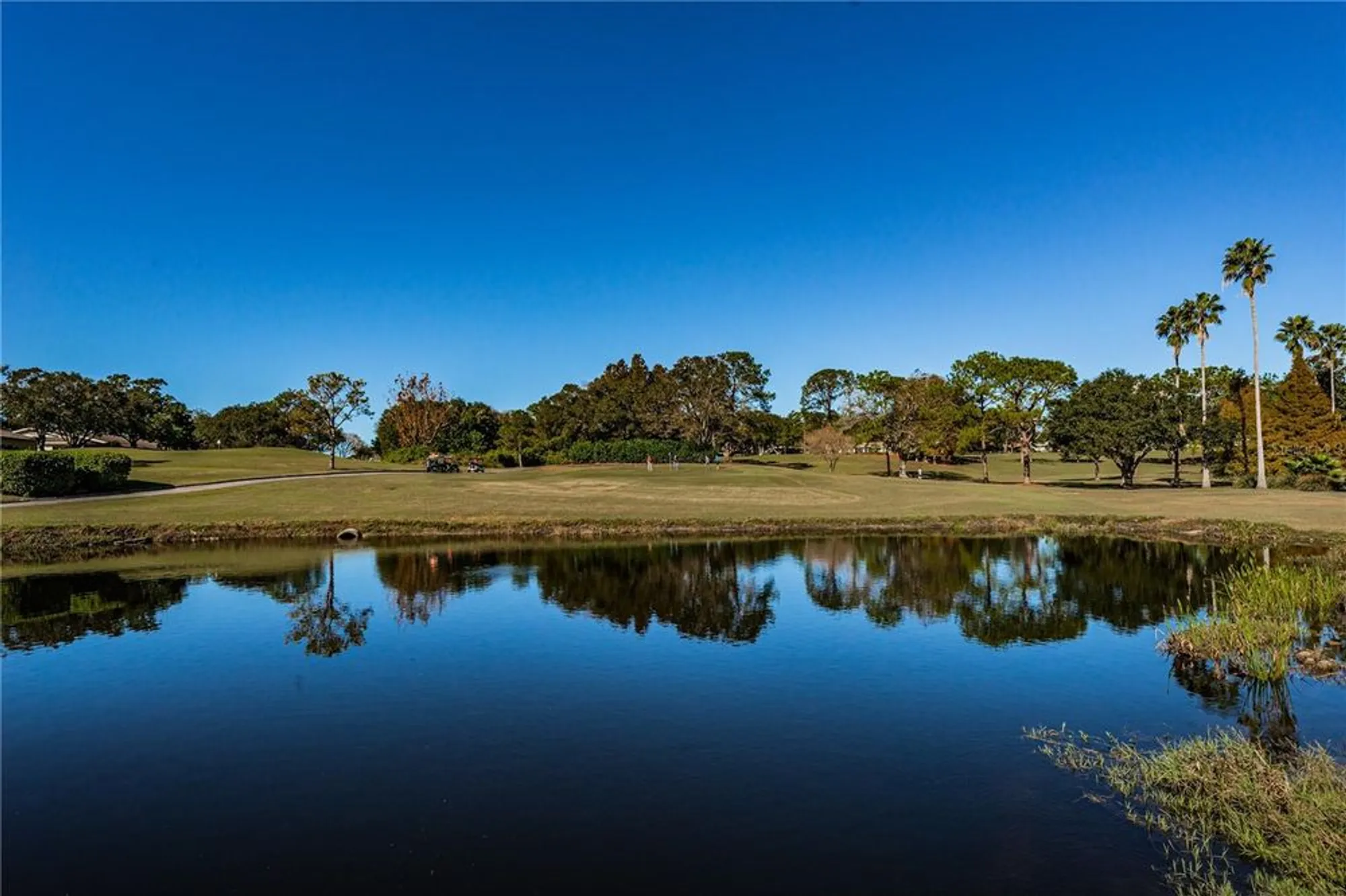 Property Slideshow image 86 of 100 | 3420 stonehaven ct d, Palm Harbor, FL, 34684