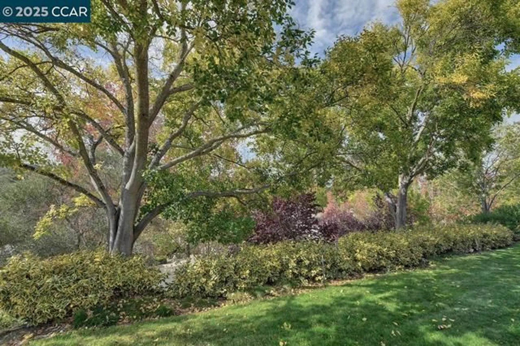 Property Slideshow image 18 of 57 | 925 terra california dr 1, Walnut Creek, CA, 94595