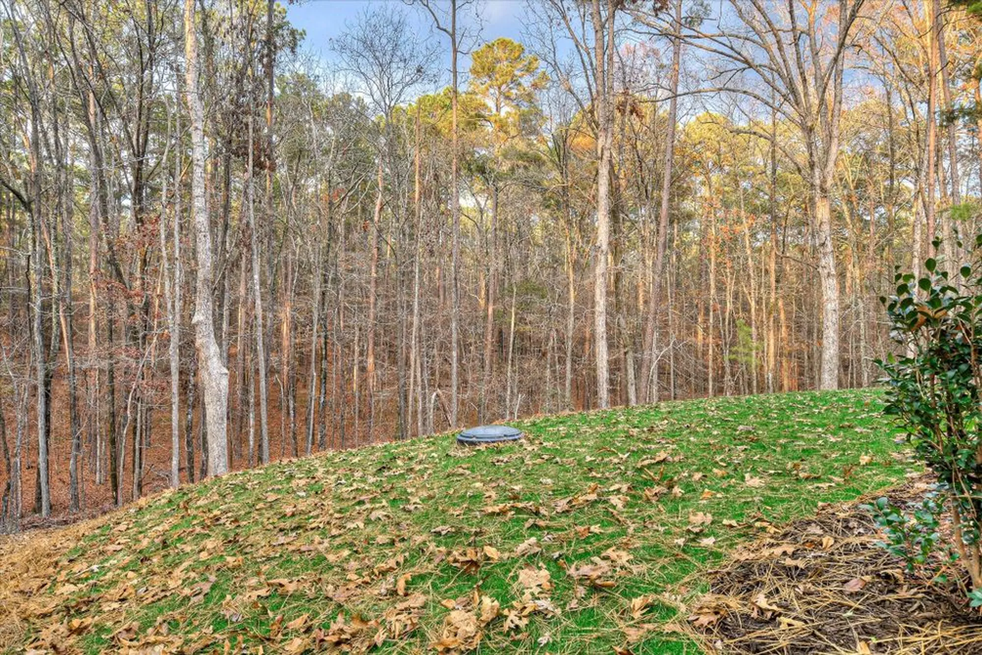 Property Slideshow image 30 of 33 | 131 southwind dr, Mc Cormick, SC, 29835