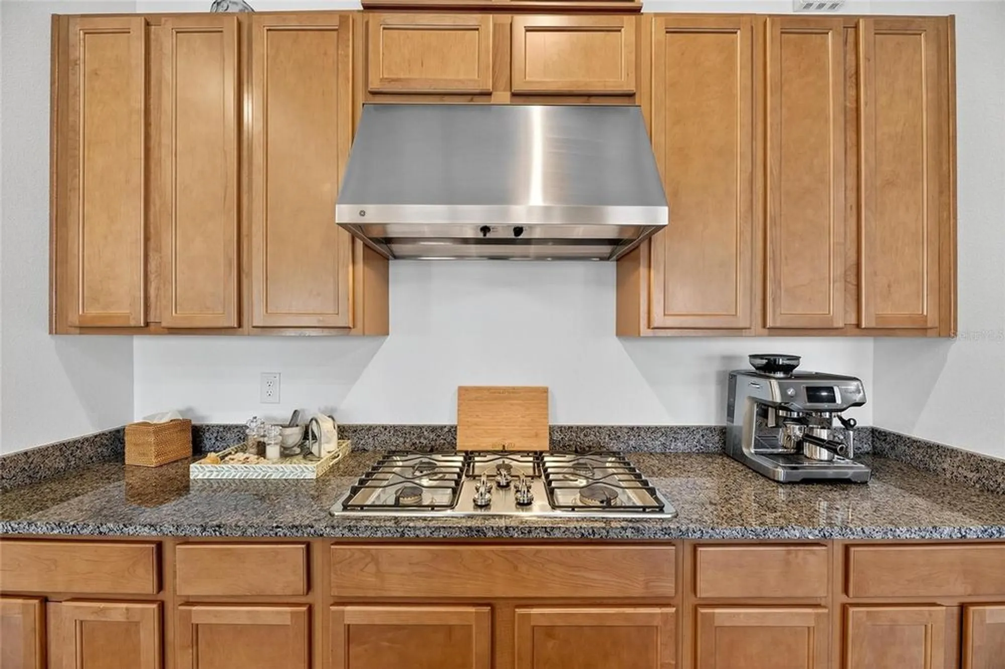 Property Slideshow image 43 of 99 | 11121 egeria dr, Odessa, FL, 33556